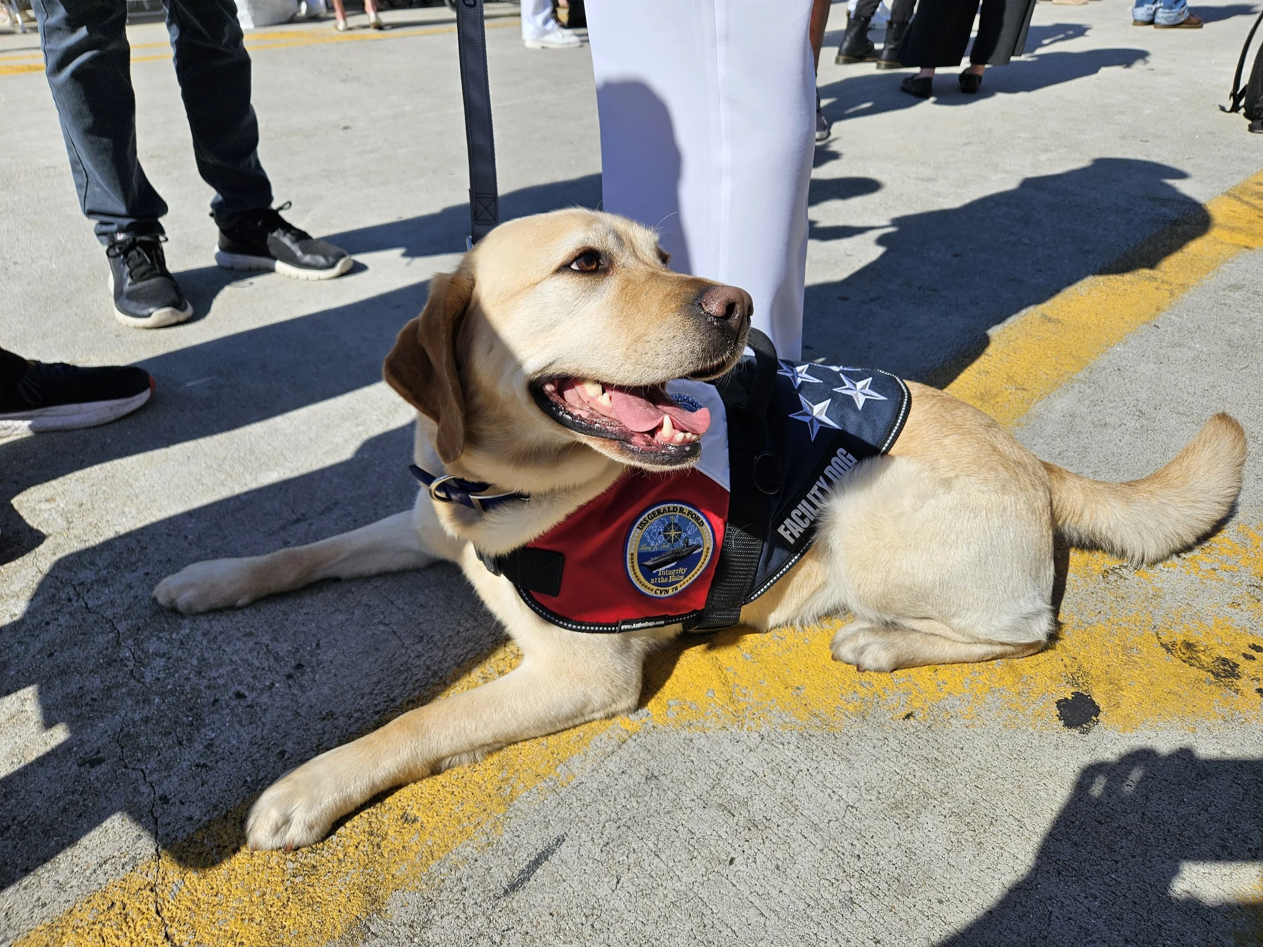 First (Expeditionary Facility) Service Dog aboard Navy aircraft carrier returns amid historic homecoming