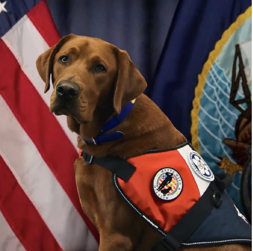 Mutts With A Mission visits FOX 5 San Diego with CAPT Rudder