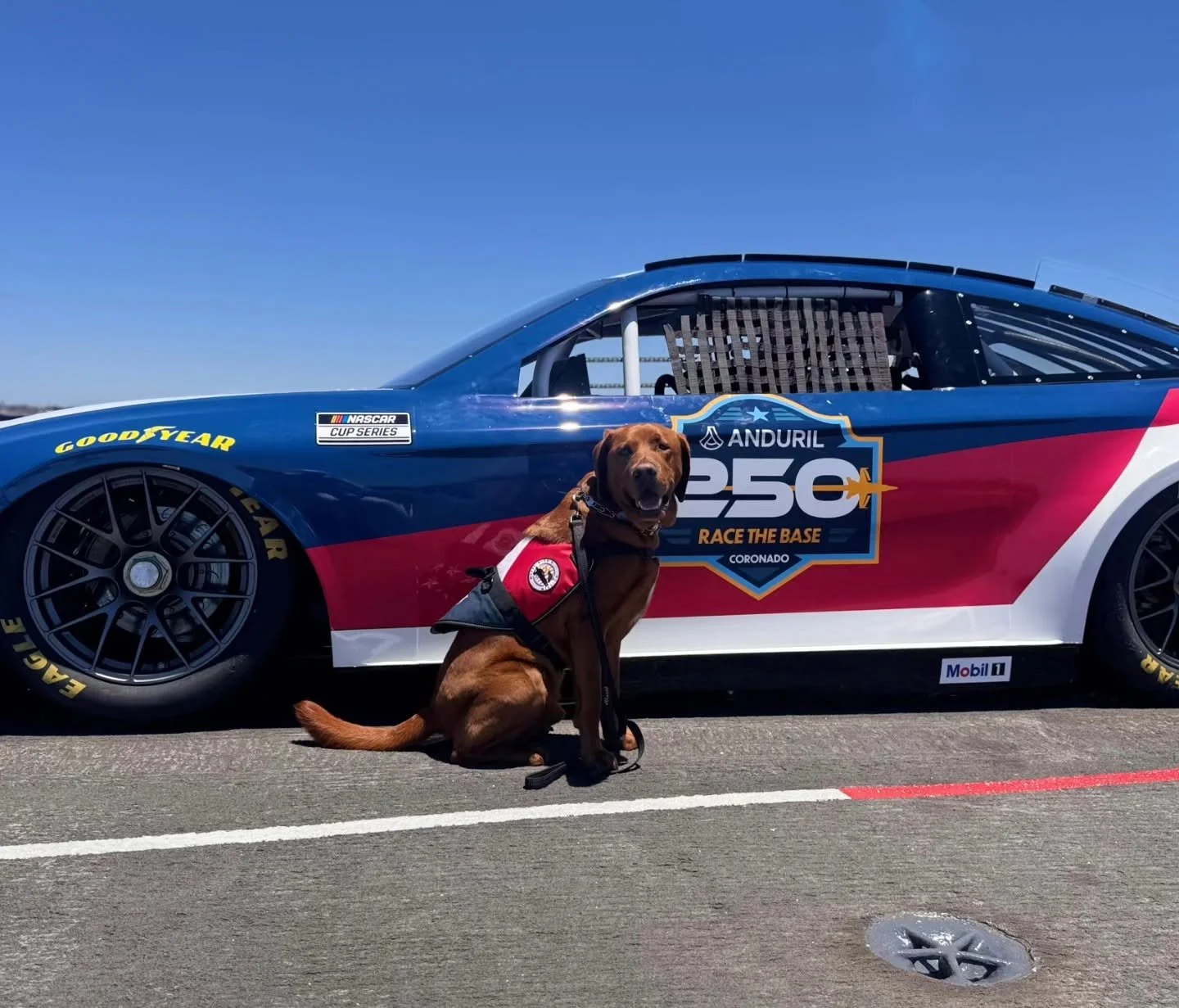 June 2026 Newsletter