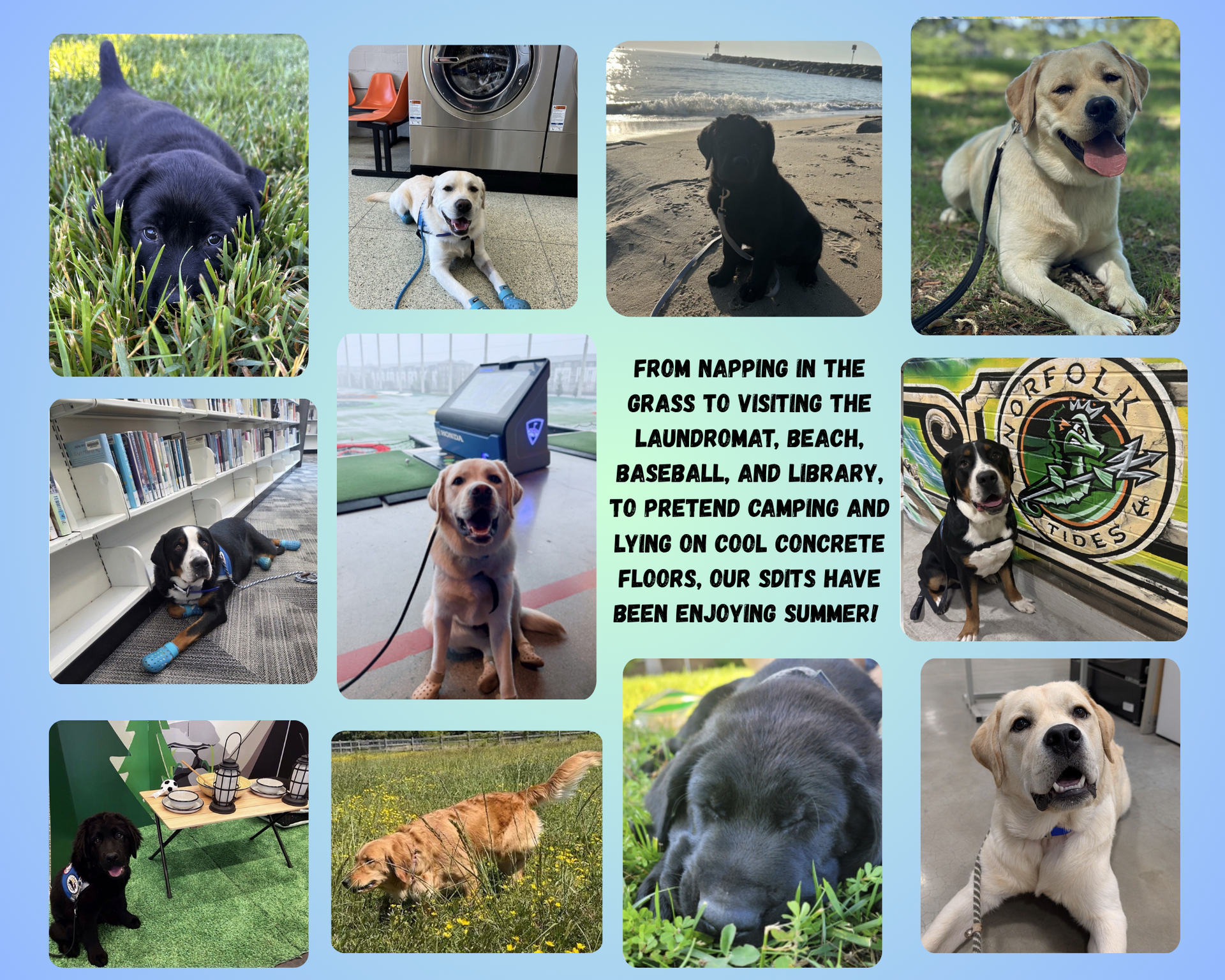August 2026 Newsletter