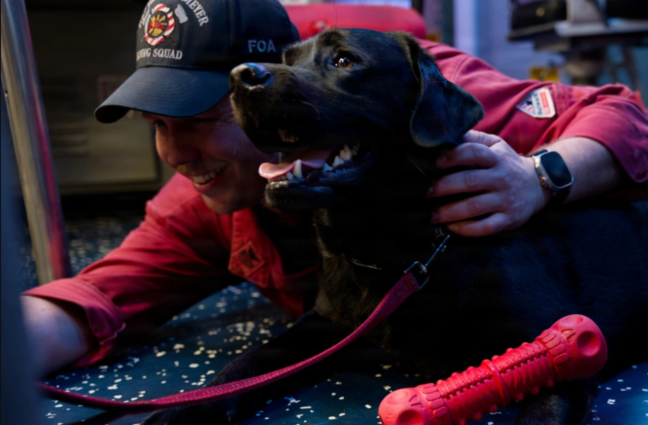 Mutts With A Mission EFD Program - NHHC