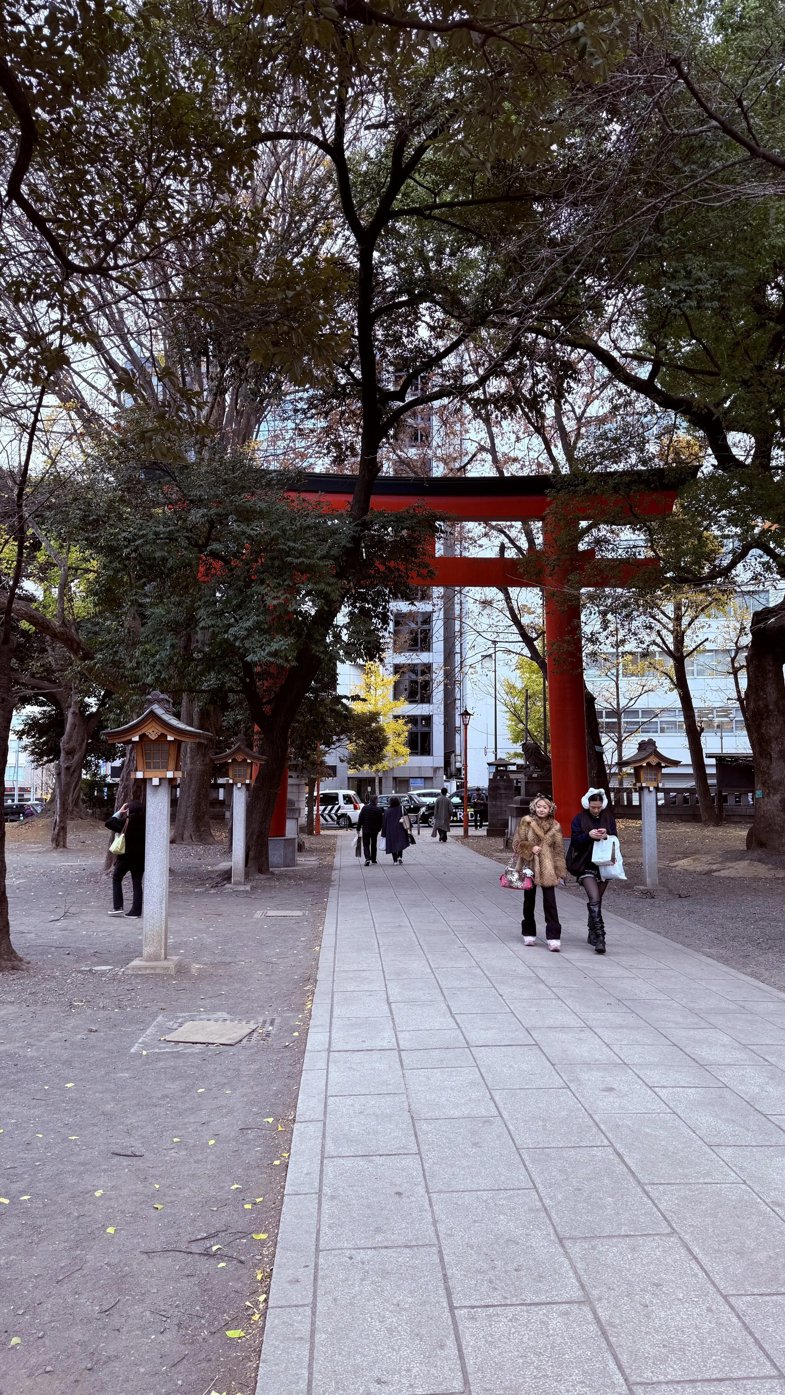 IMG_0472.jpeg