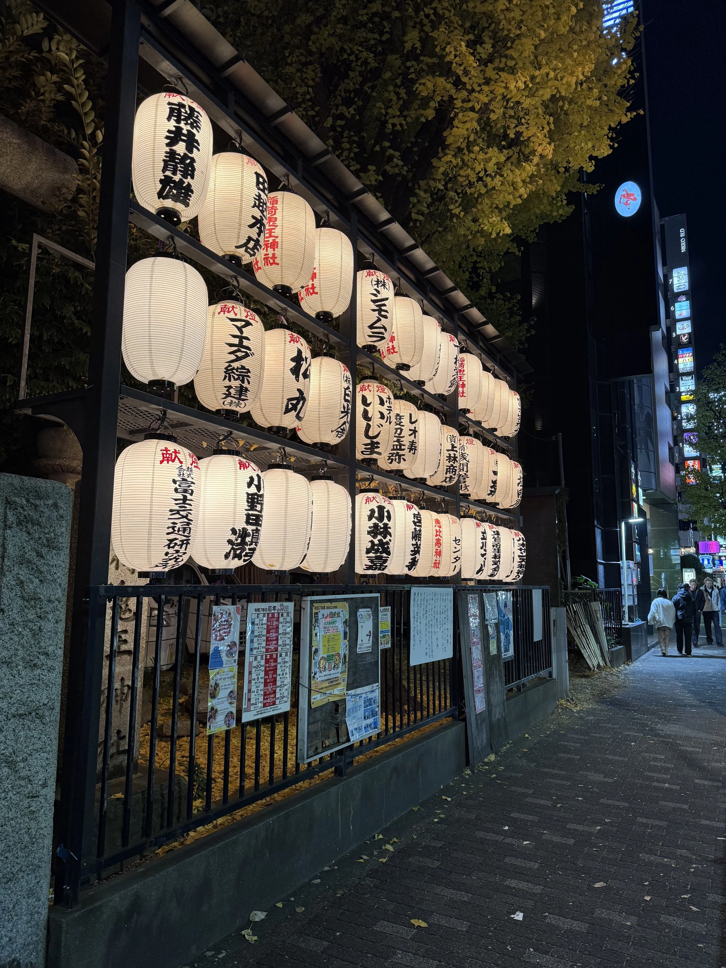 IMG_8952.jpeg