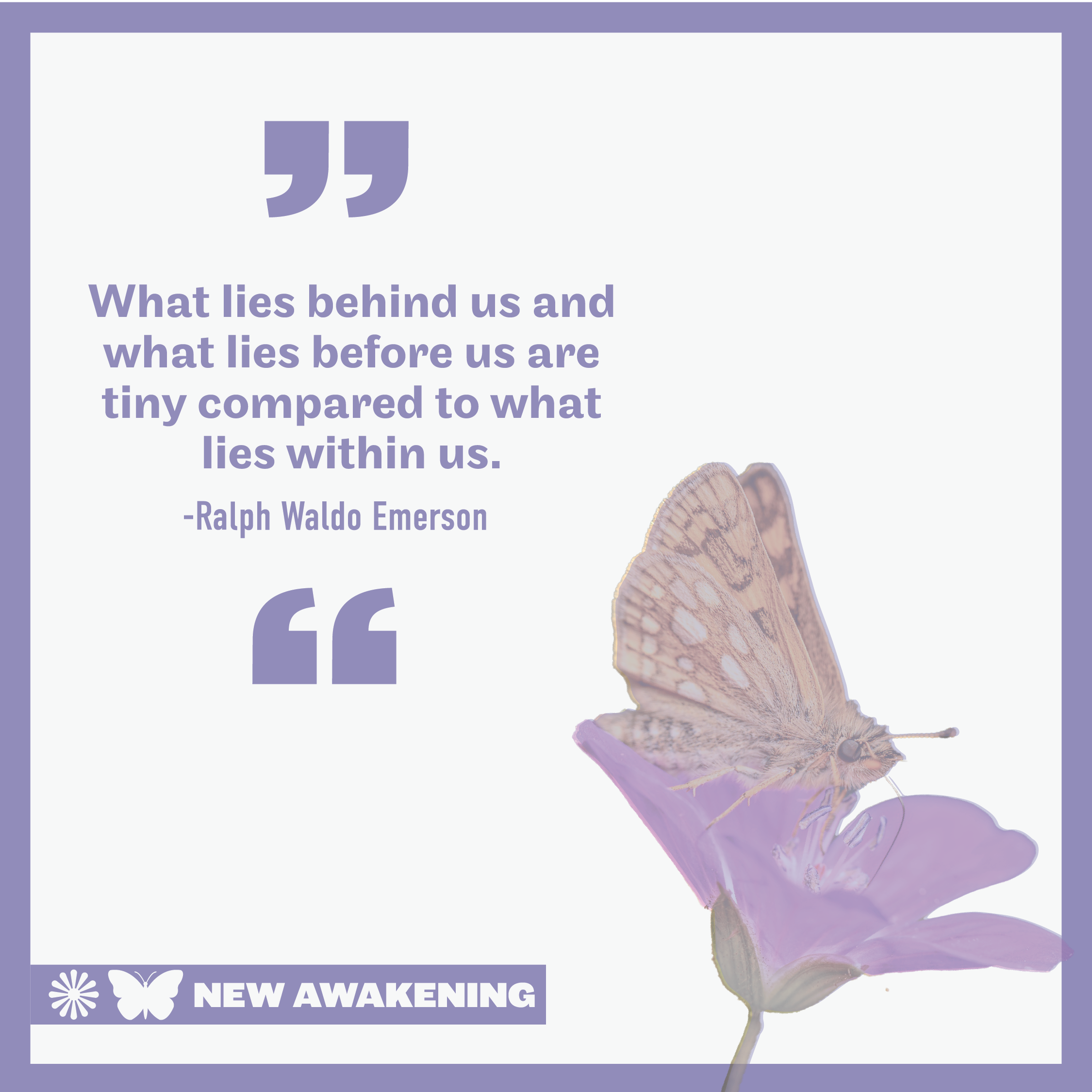 Quote post with butterfly 1-01.png