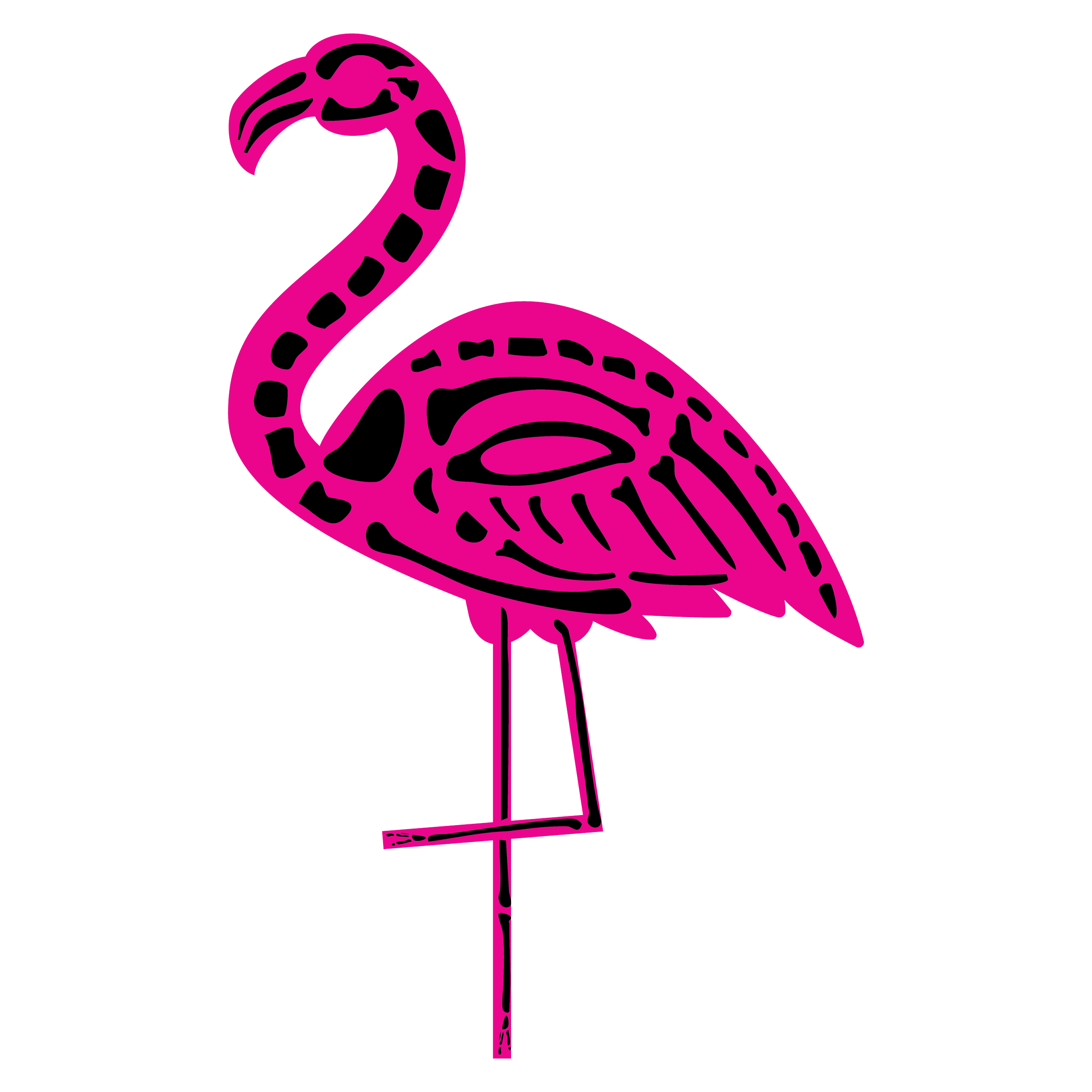 flamingo skelly black bones pink trim-01.png