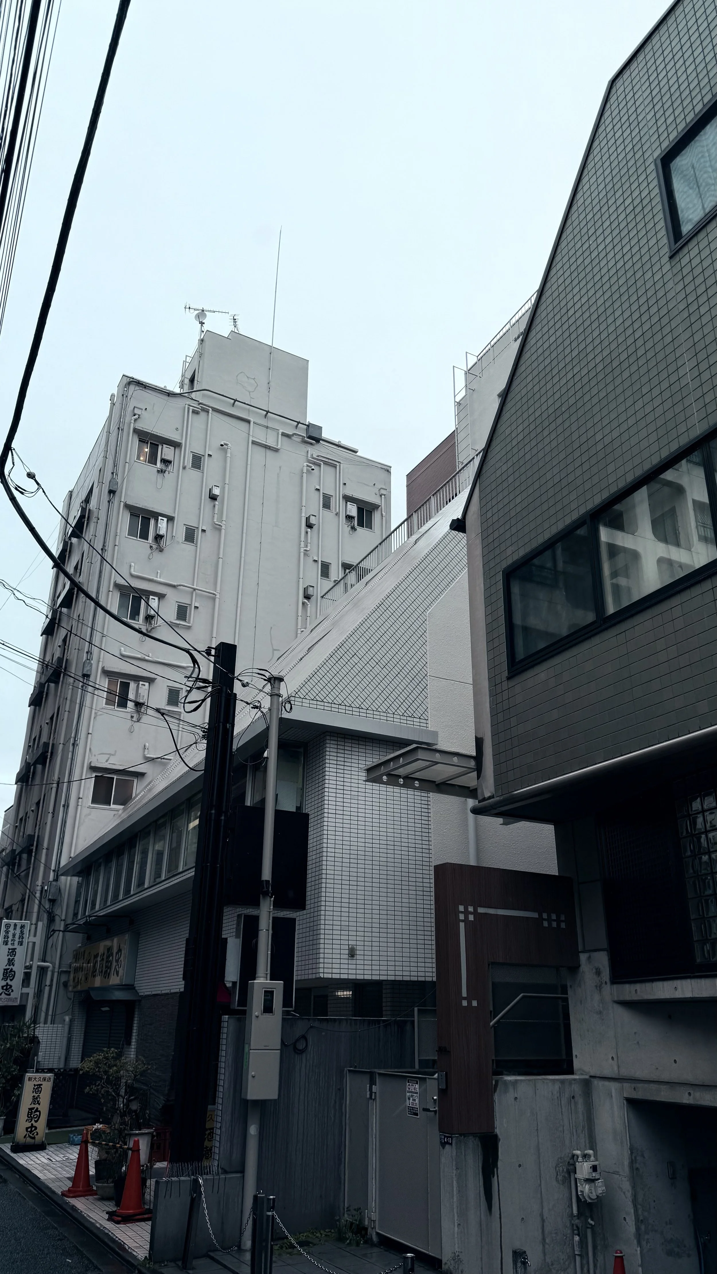 IMG_0508.jpeg