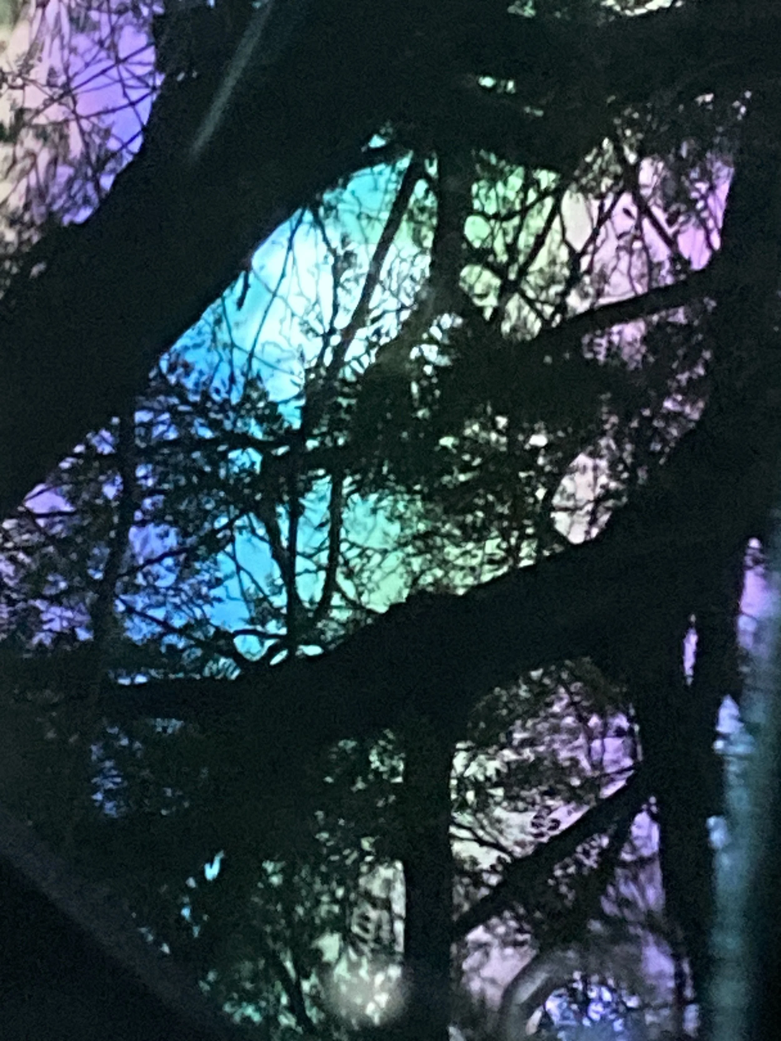IMG_9498.jpeg