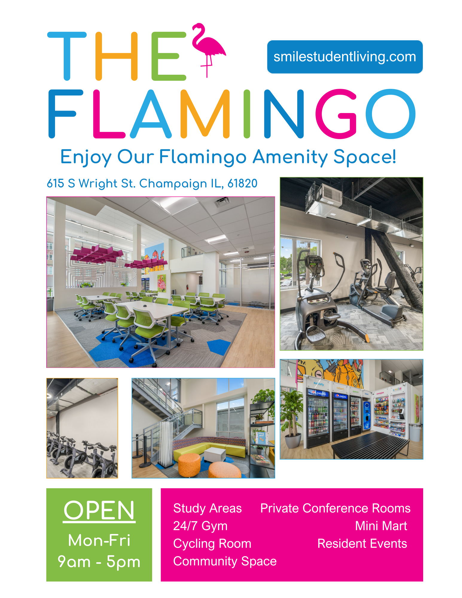 the flamingo flyer V.3.png