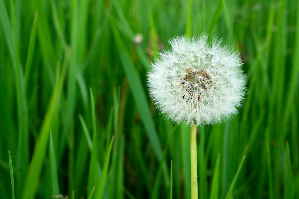 Forced Change Can Reveal Positive Growth