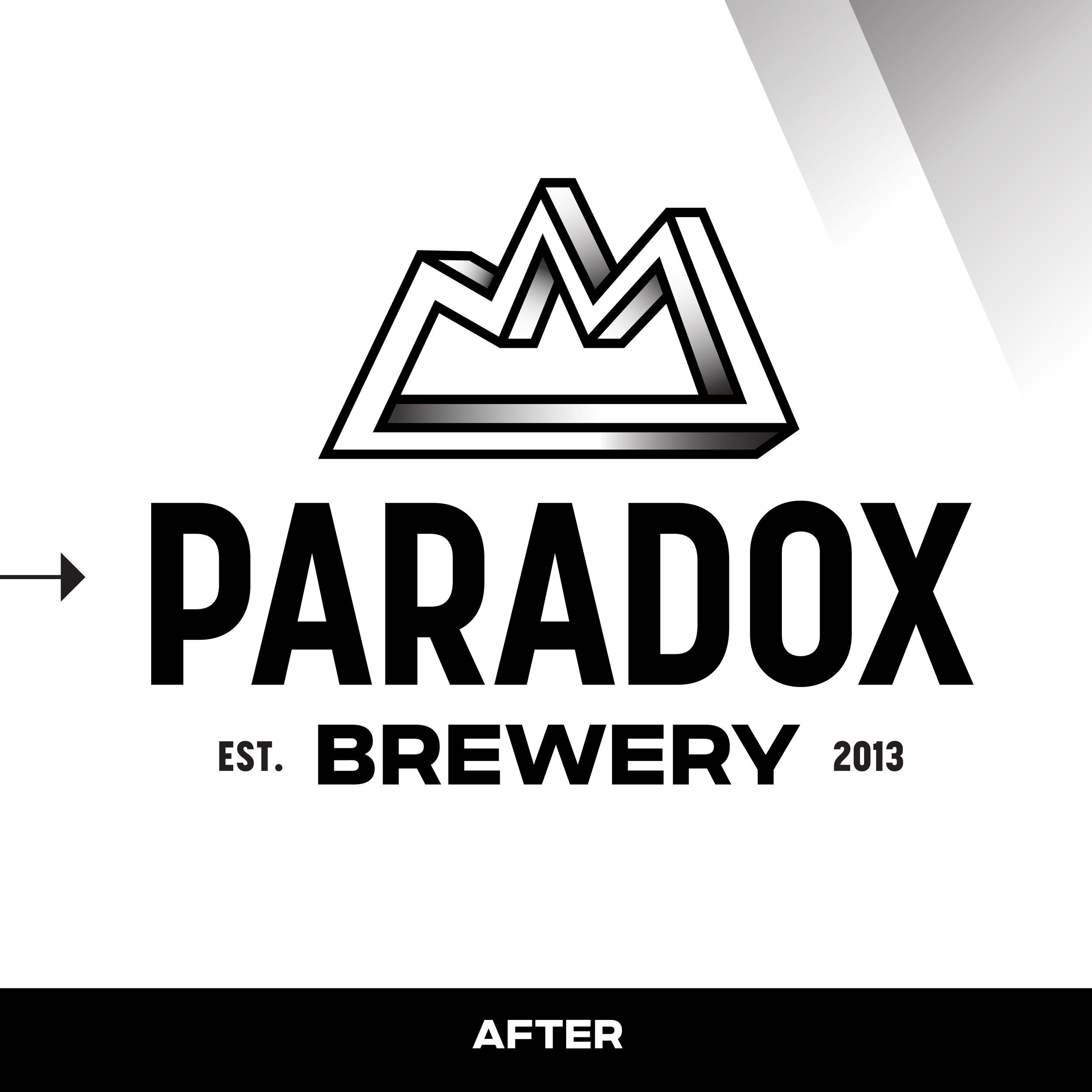 ParadoxSocial_LogoReveal_Slide_-05.jpg