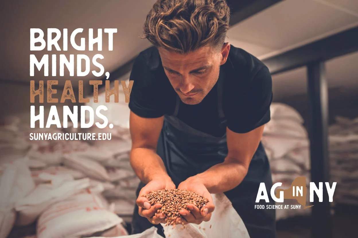 Man holding grain in hands with bags of grain in the background. To the left are the words “Bright Minds, Healthy Hands”. To the right is the Ag in NY logo