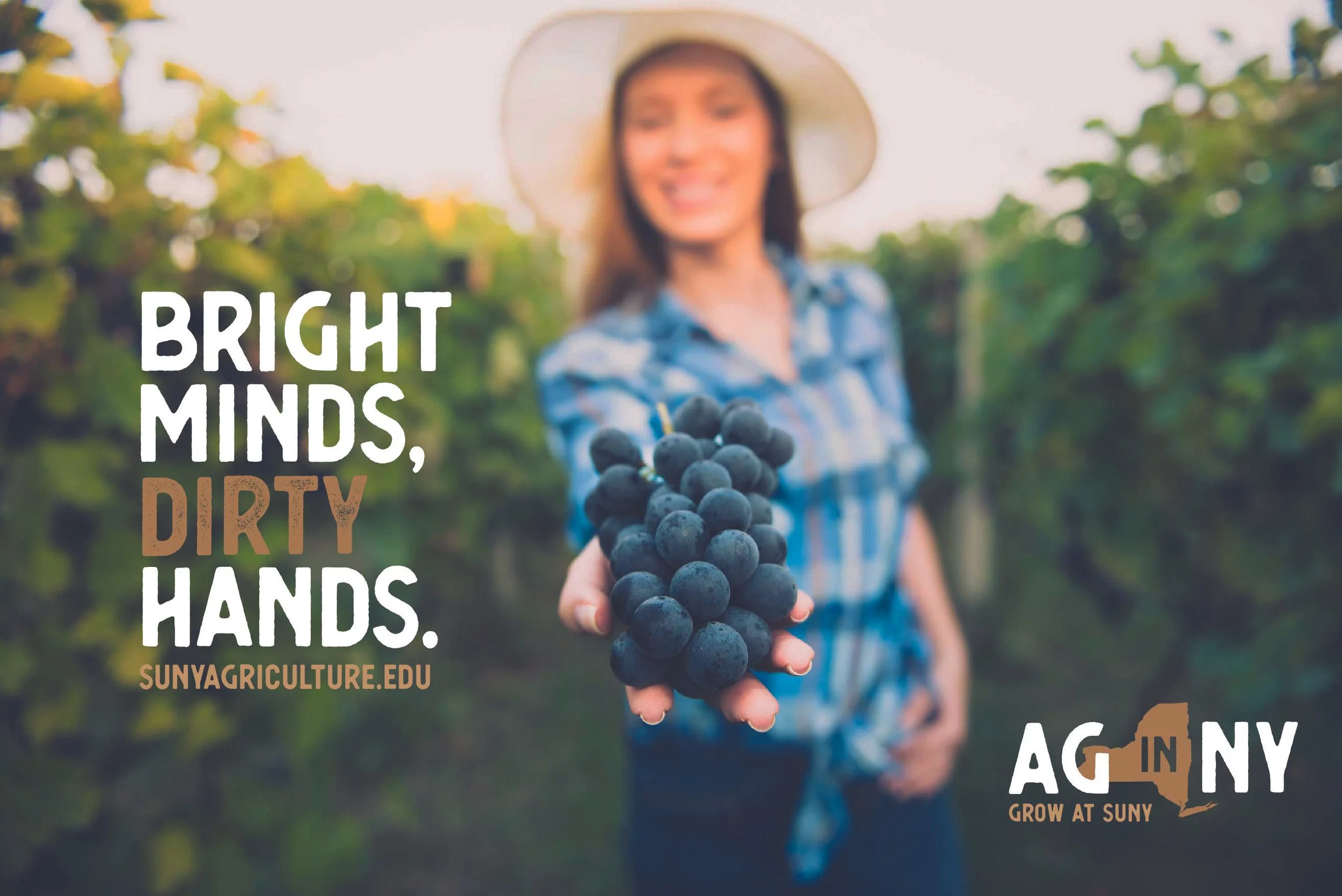 Woman holding a bunch of grapes. Next to here are the words Bright Minds, Dirty Hands. SunyAgriculture.edu. Ag in NY logo is to the right