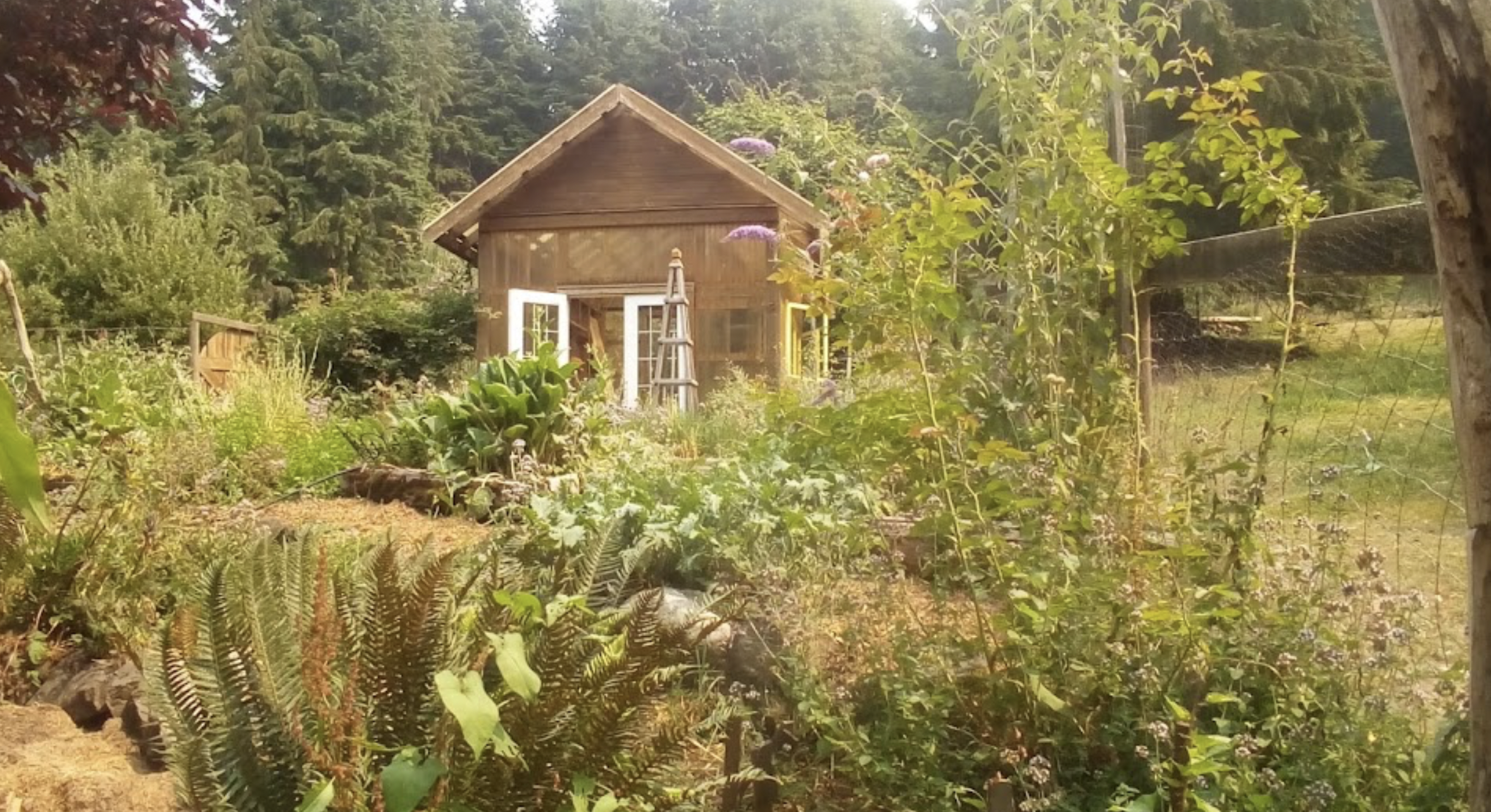 Screen Shot 2024-05-14 at 3.48.49 PM.png