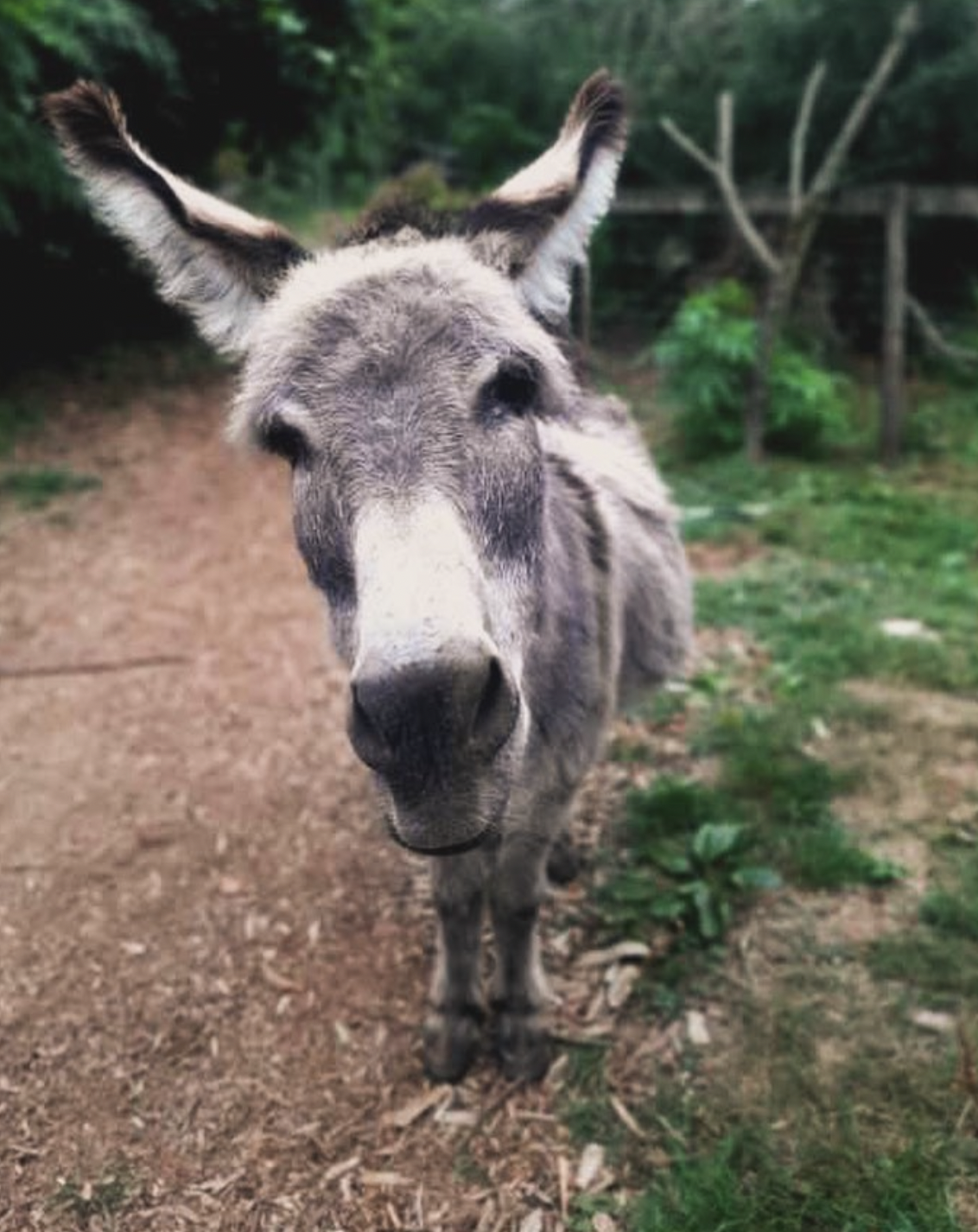 Screen Shot 2024-11-27 at 2.06.36 PM.png