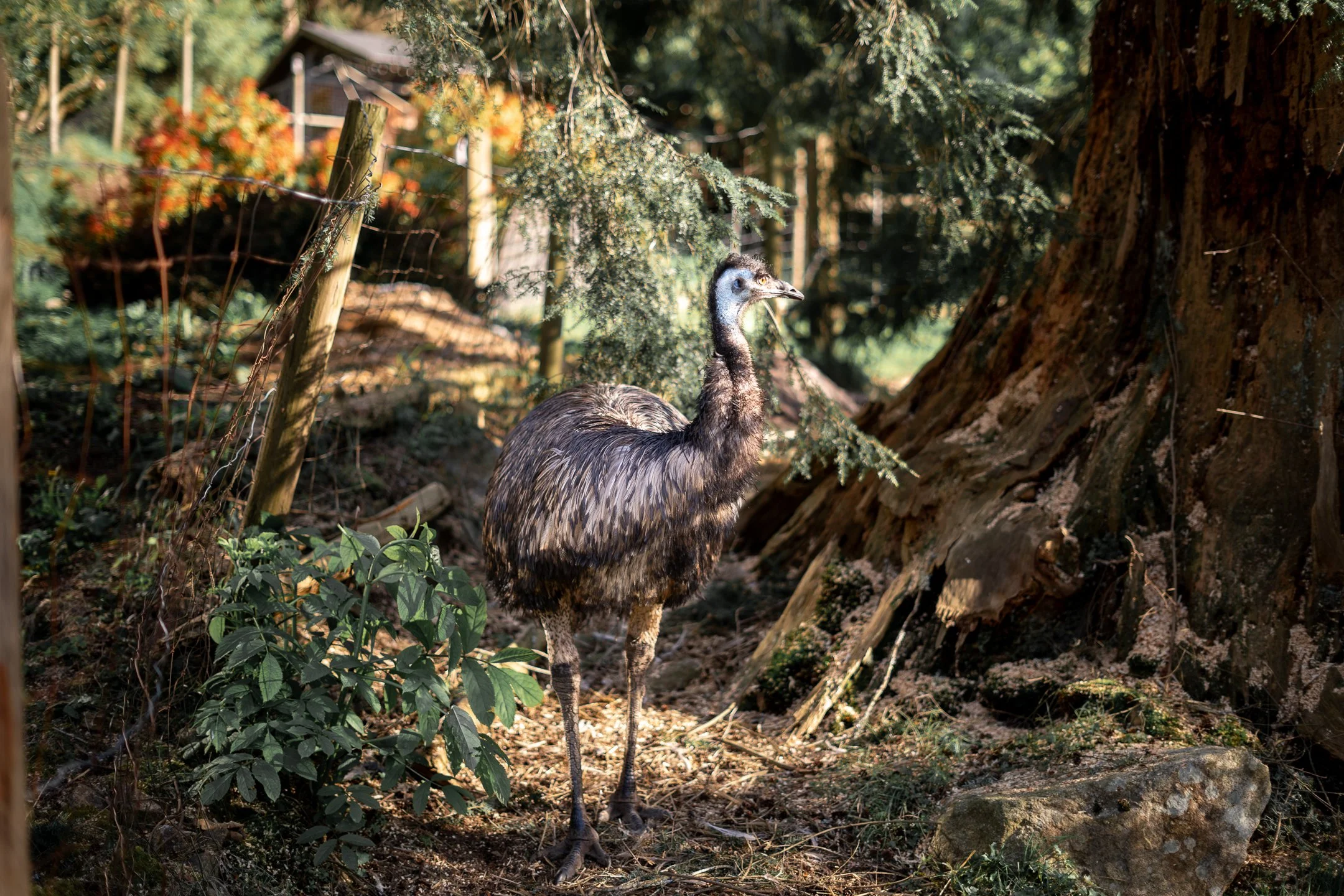 Alderwood Farm-23.jpg