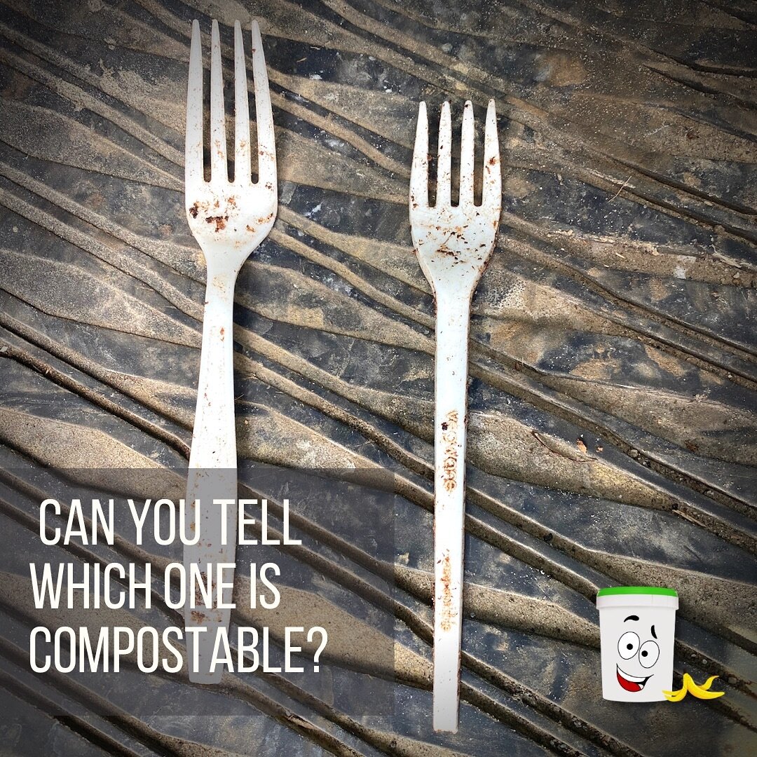 👀 Test your knowledge! 👀 
Which fork is compostable, and which is plastic (aka trash)?
🤔 
It would be much easier to tell the difference in person. For example, the fork on the left is brittle and the prongs snap easily. The one on the right is le