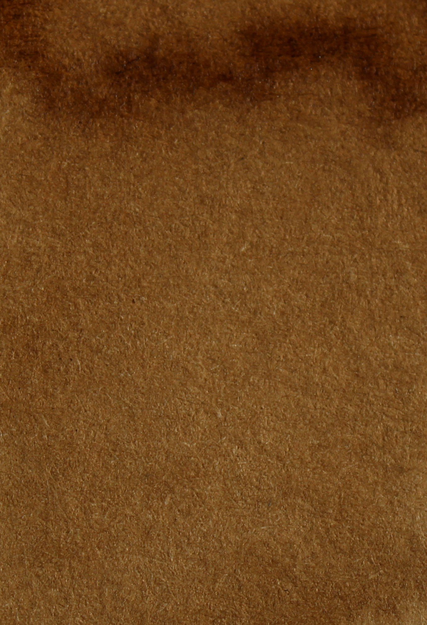 coffeebeansample.jpg