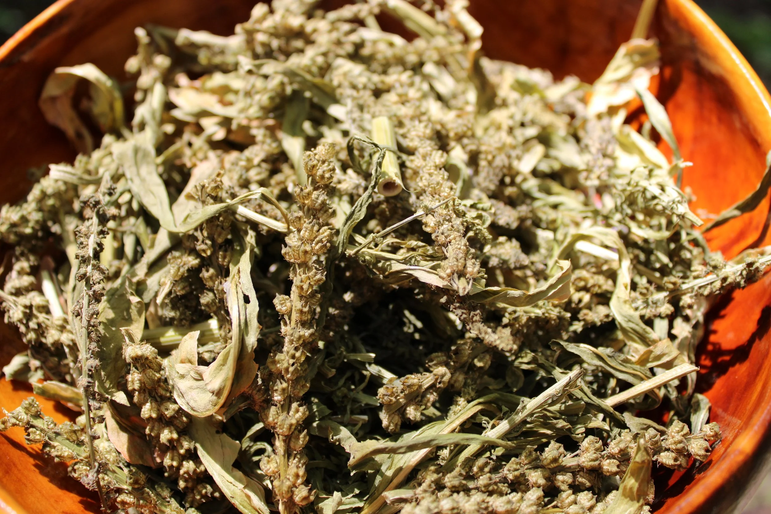 Dried weld for sale. Natural dye cotton, linen, silk, or wool brilliant yellow or greens when used with a modifier