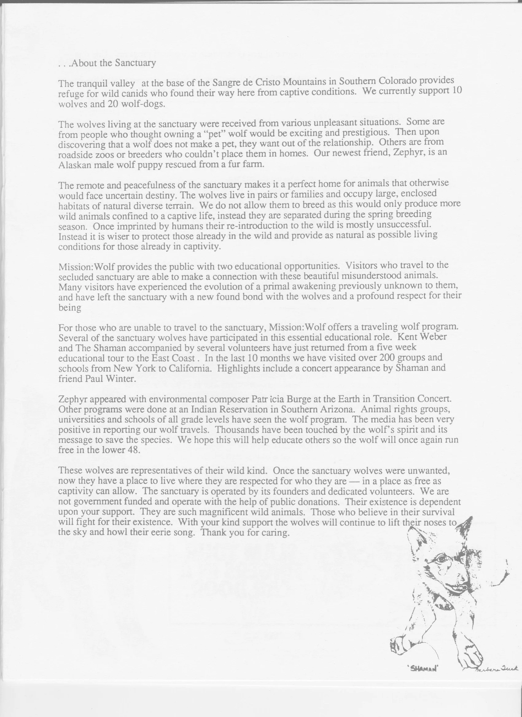 Wolf-Visions-1990 3.jpeg