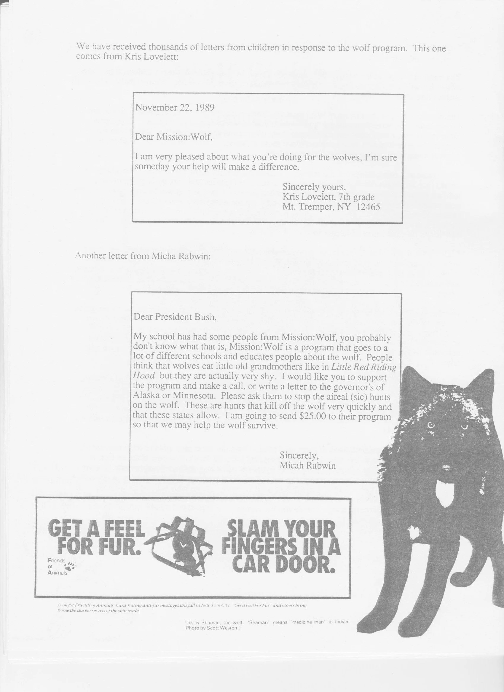 Wolf-Visions-1990 4.jpeg