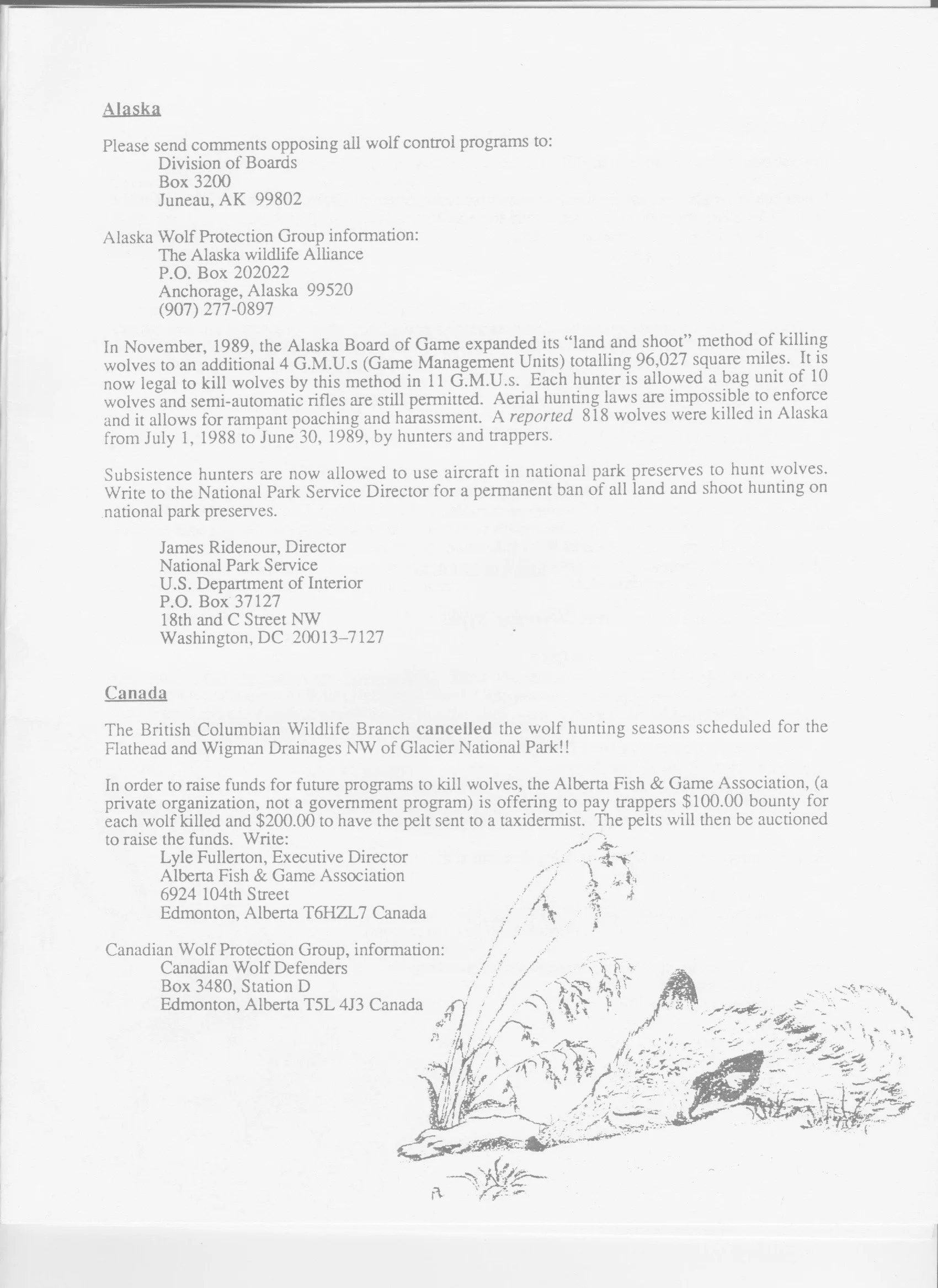 Wolf-Visions-1990 5.jpeg