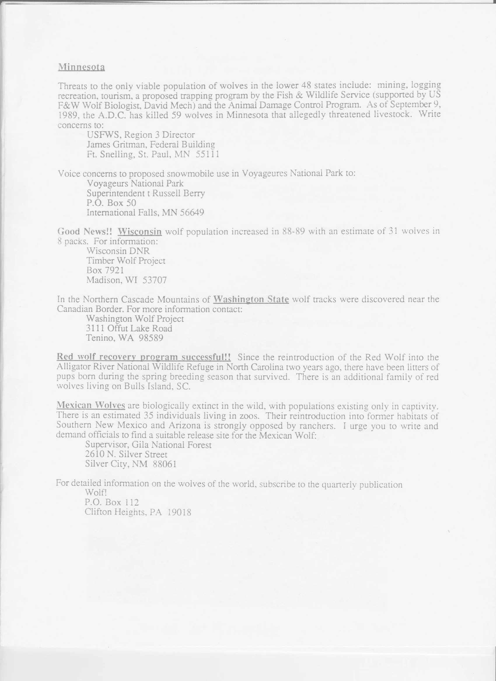 Wolf-Visions-1990 7.jpeg