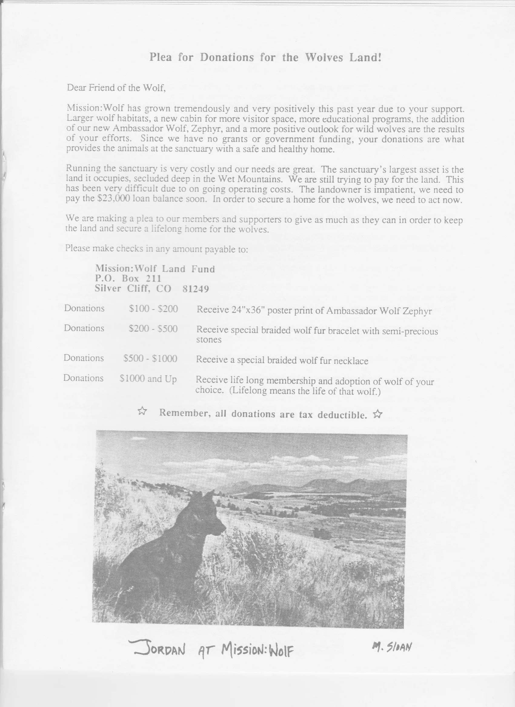 Wolf-Visions-1990 9.jpeg