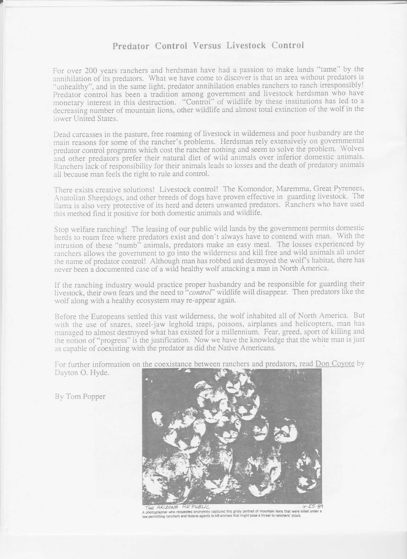 Wolf-Visions-1990 10.jpeg