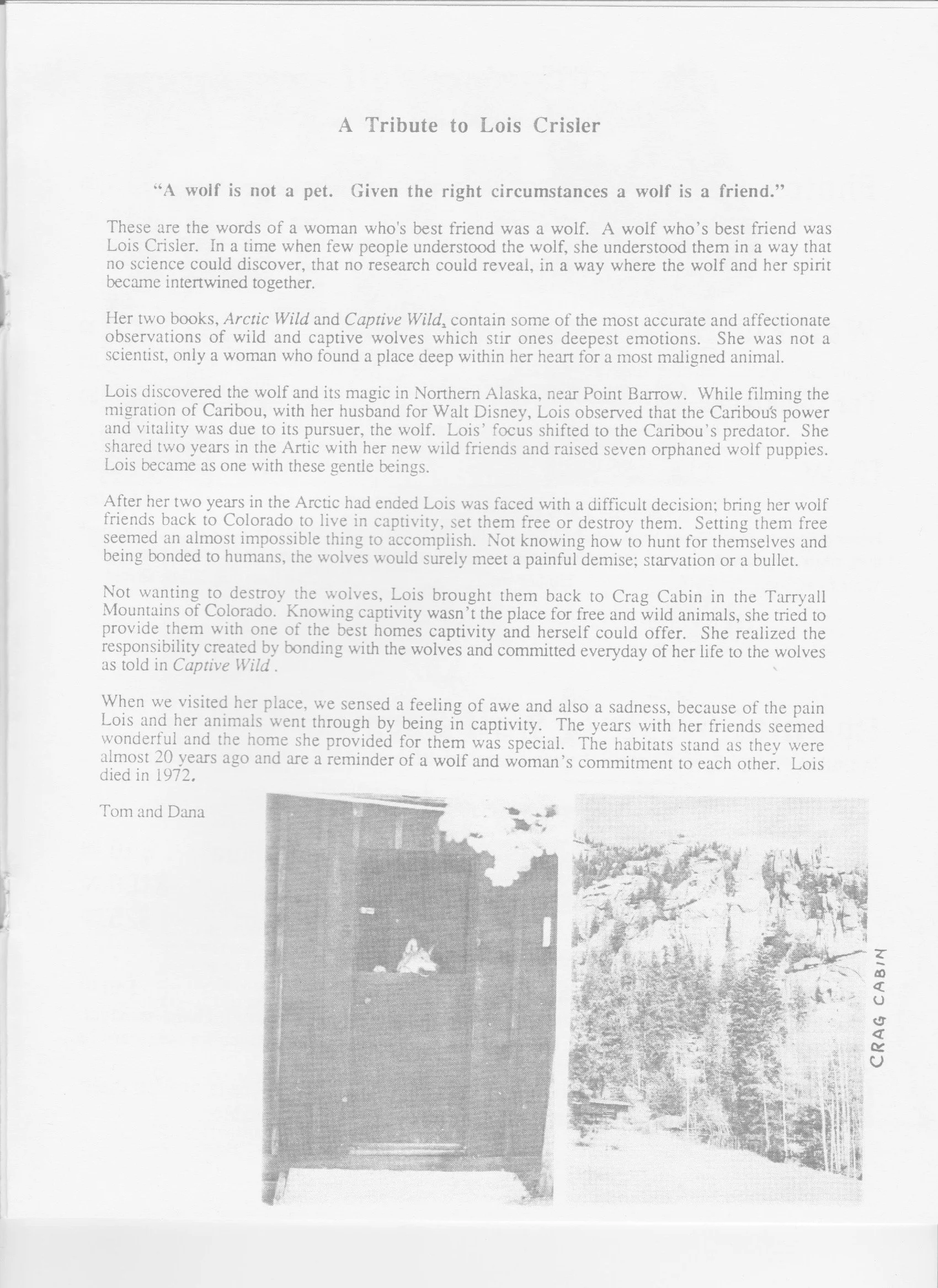 Wolf-Visions-1990 11.jpeg