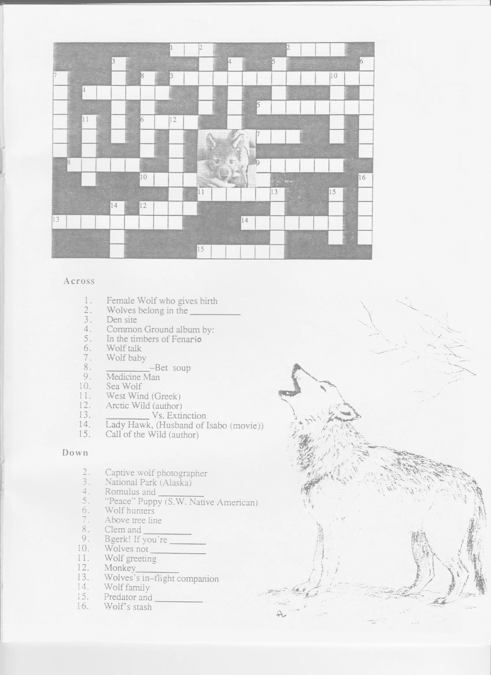 Wolf-Visions-1990 13.jpeg