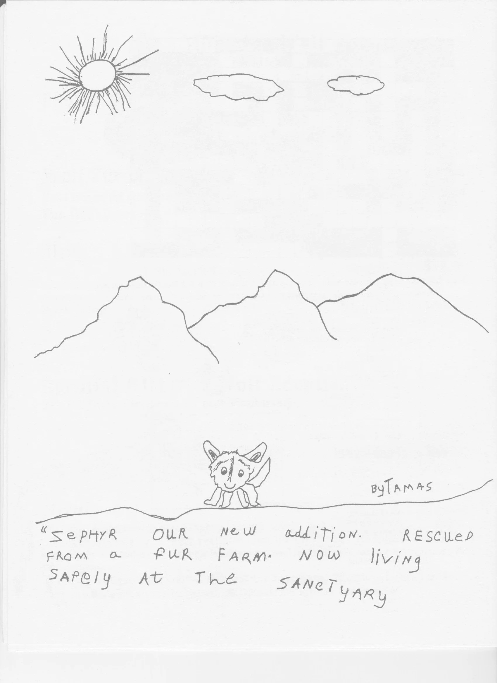 Wolf-Visions-1990 14.jpeg