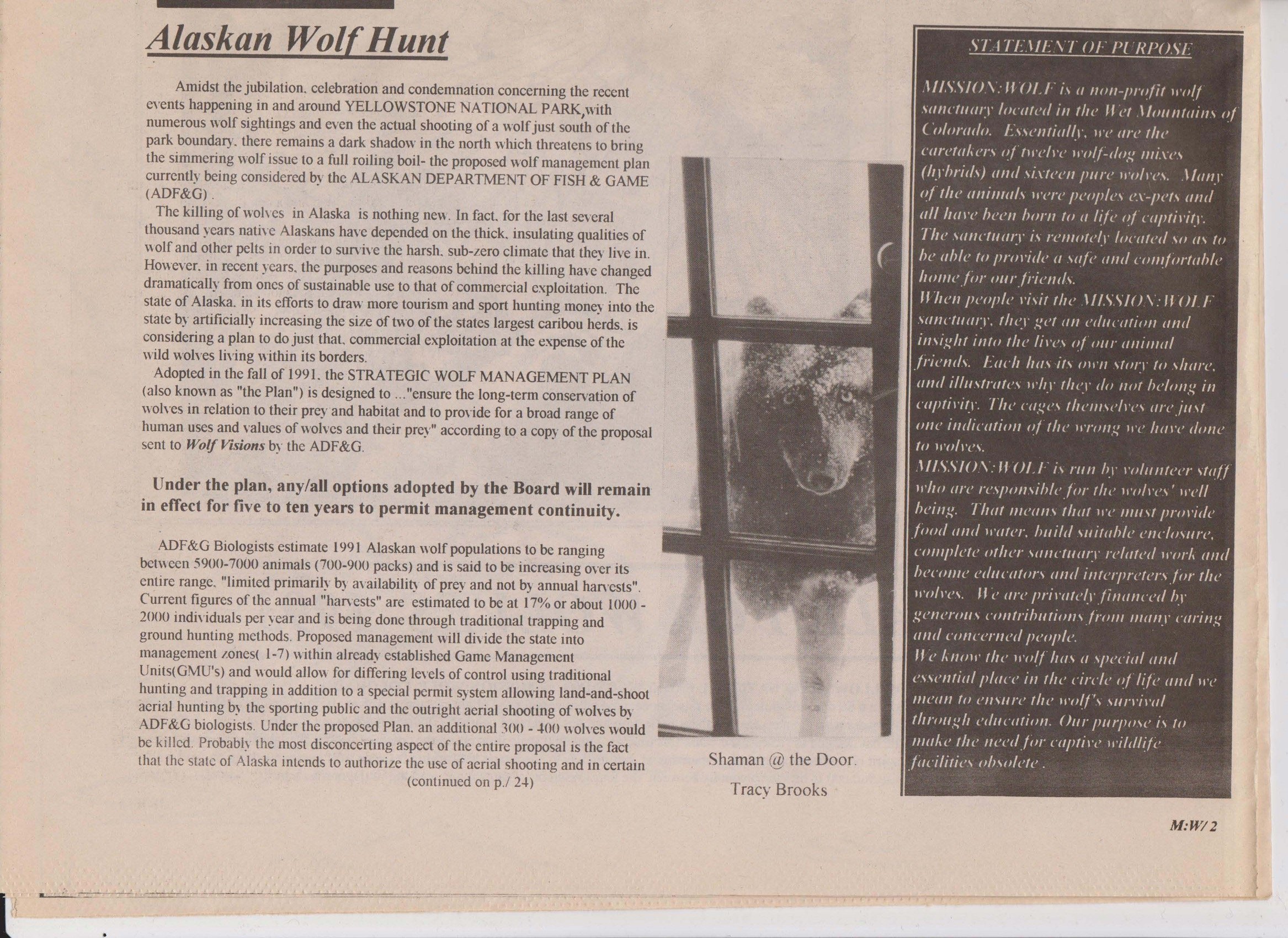 Wolf-Visions-1993 4.jpeg