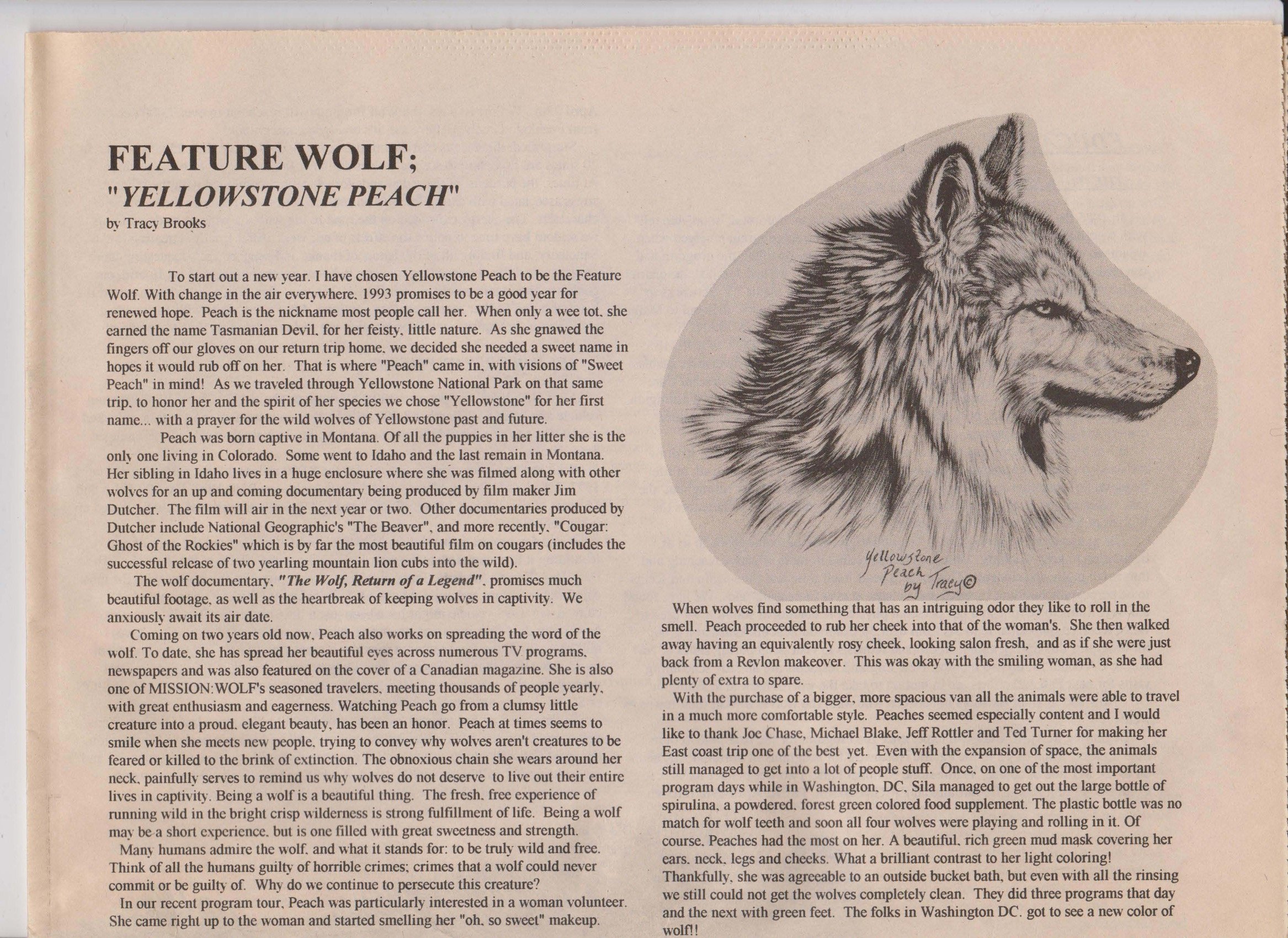 Wolf-Visions-1993 5.jpeg