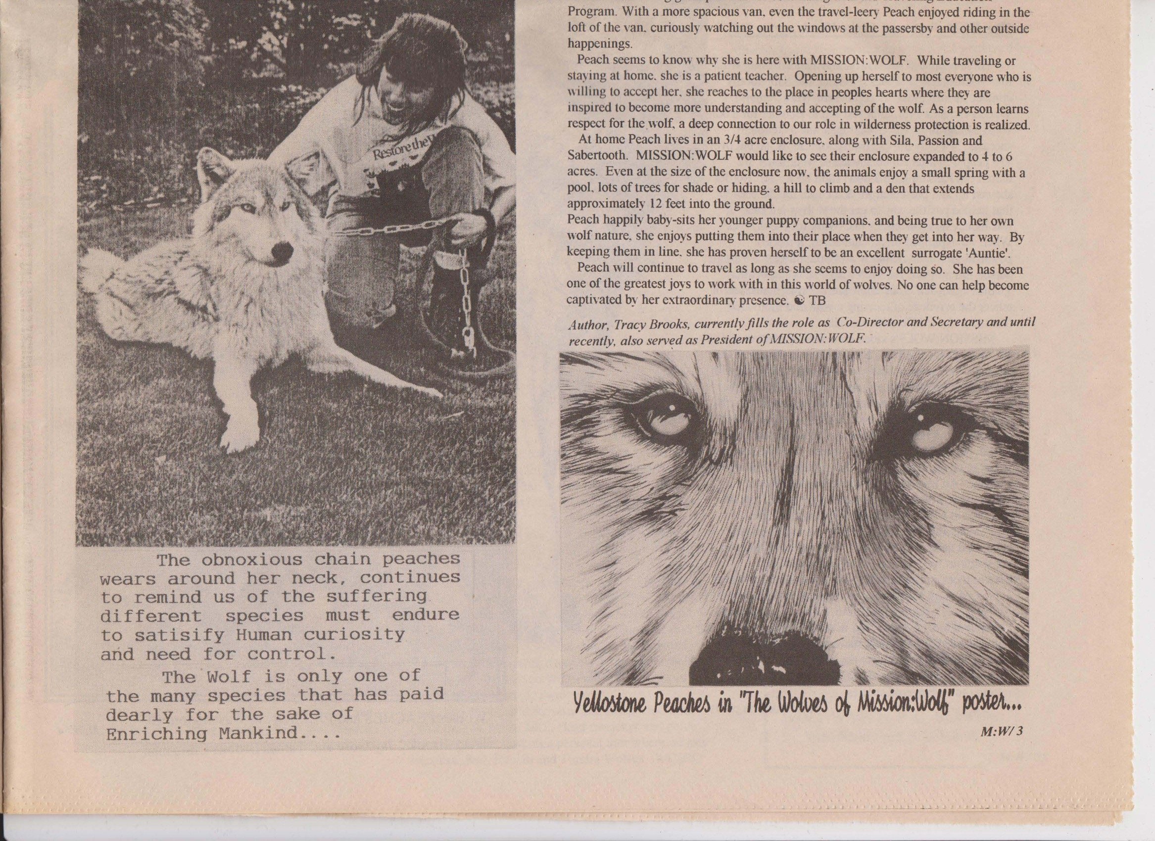 Wolf-Visions-1993 6.jpeg