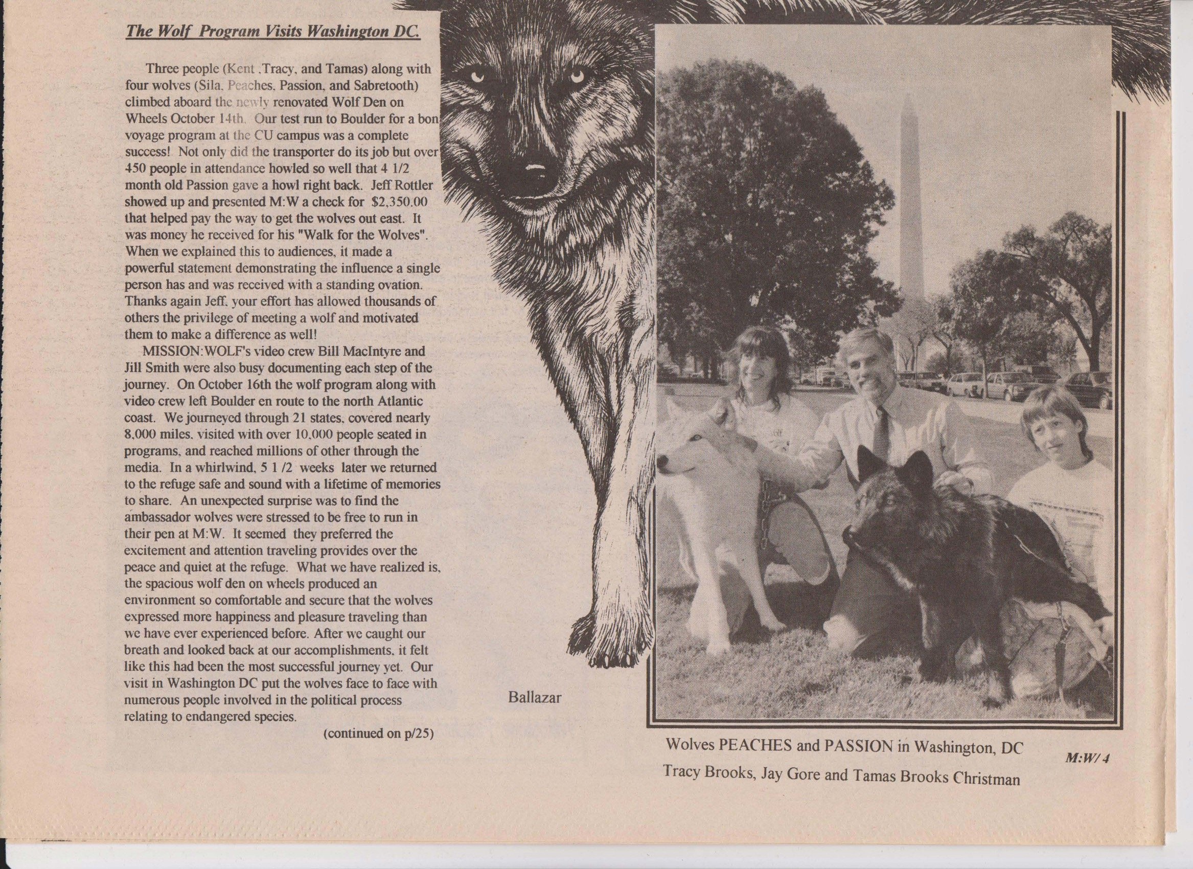 Wolf-Visions-1993 8.jpeg