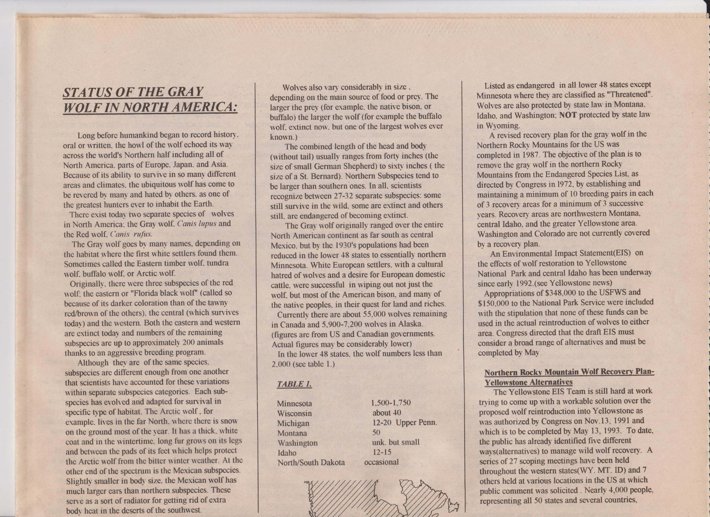 Wolf-Visions-1993 9.jpeg