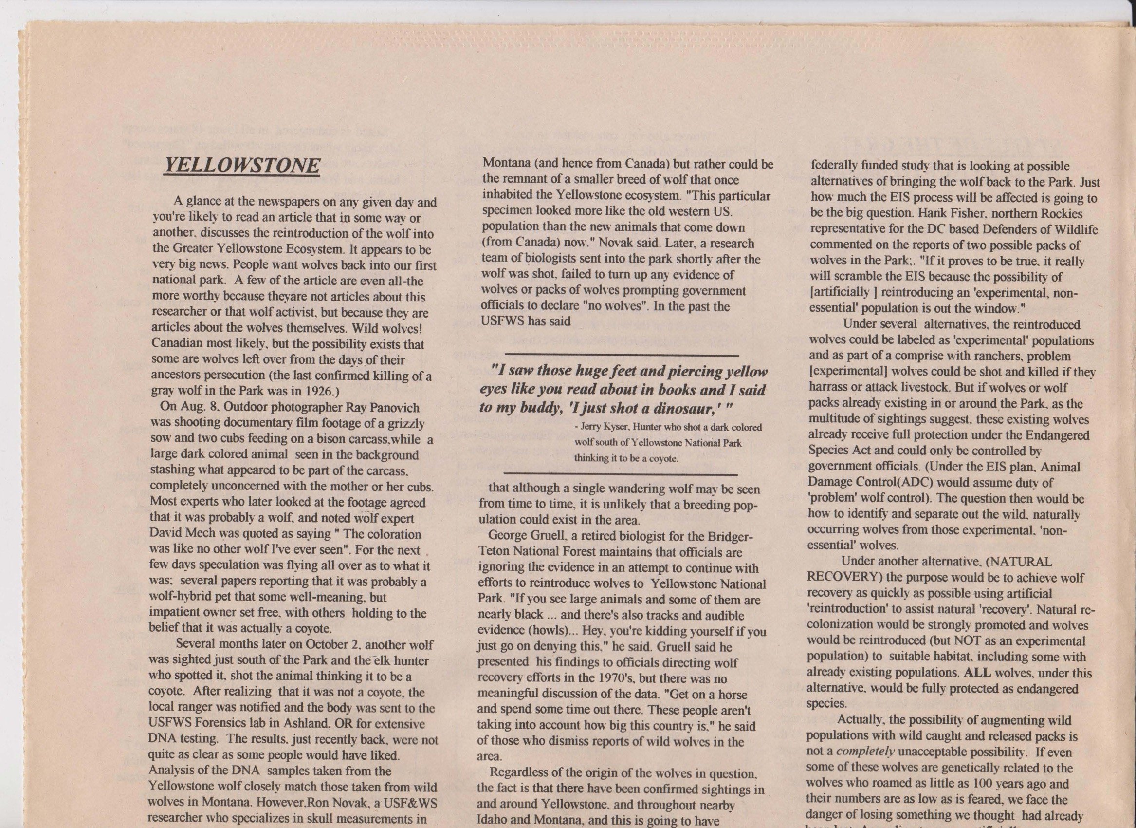 Wolf-Visions-1993 11.jpeg