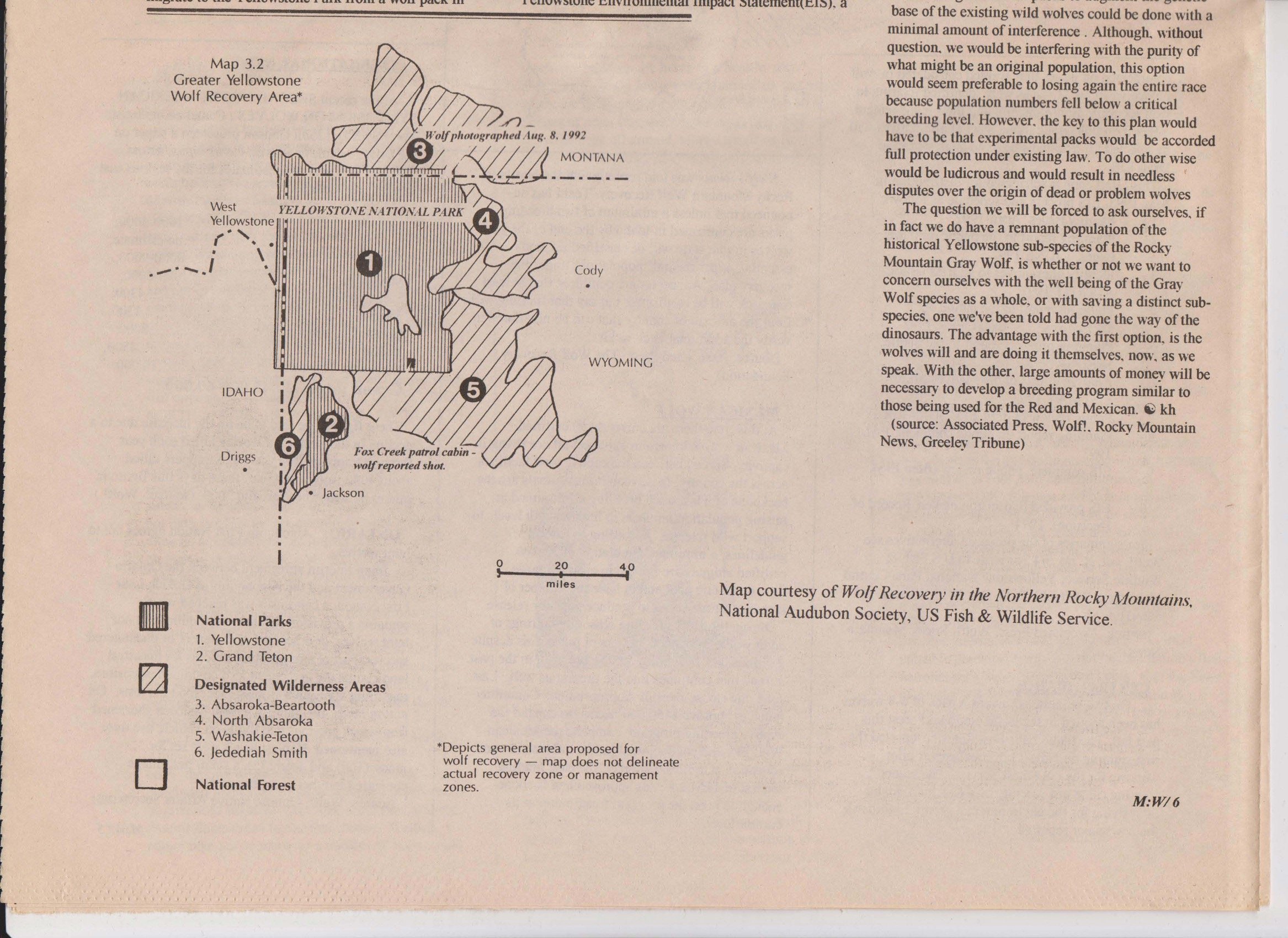 Wolf-Visions-1993 12.jpeg