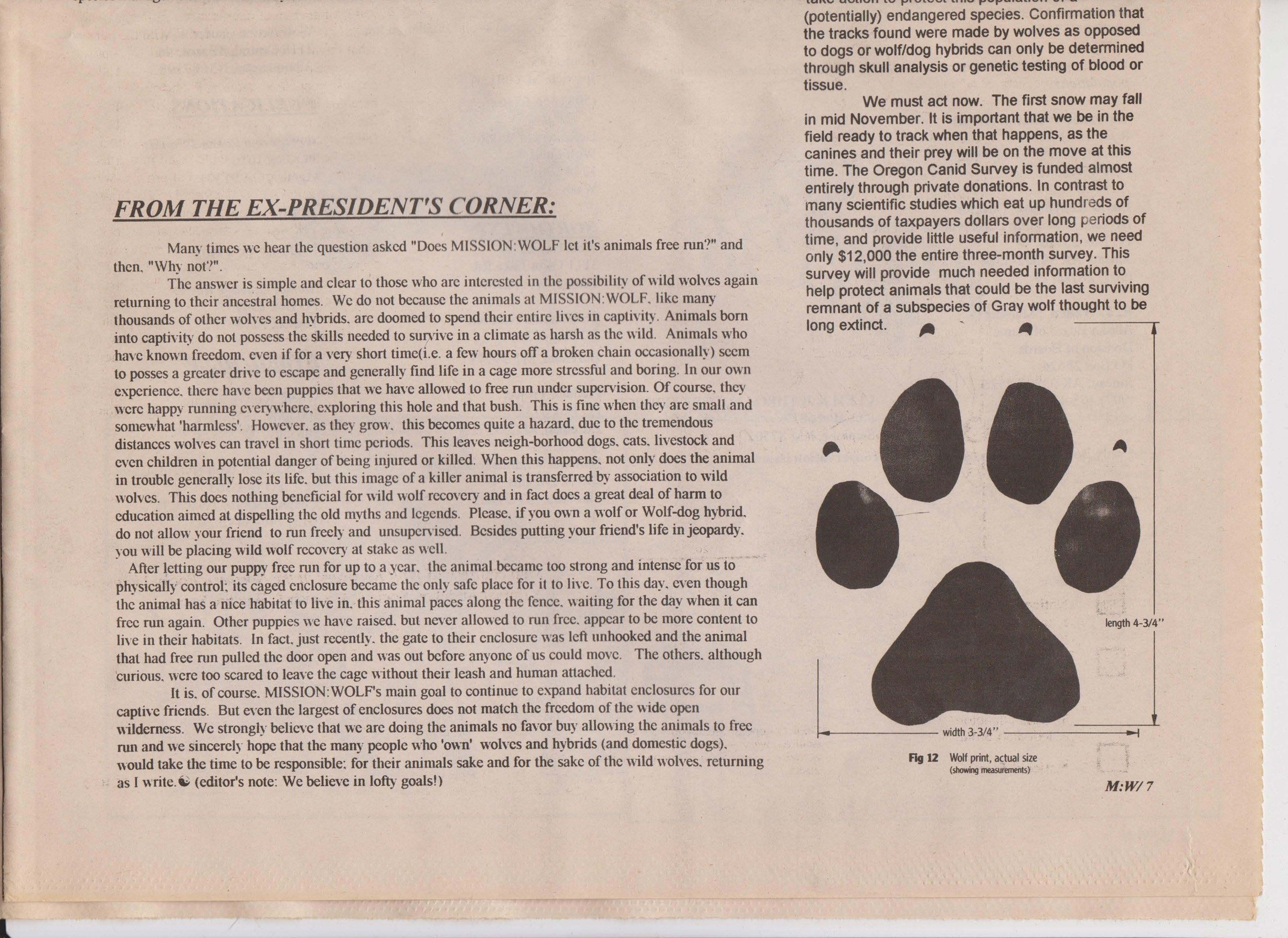 Wolf-Visions-1993 14.jpeg