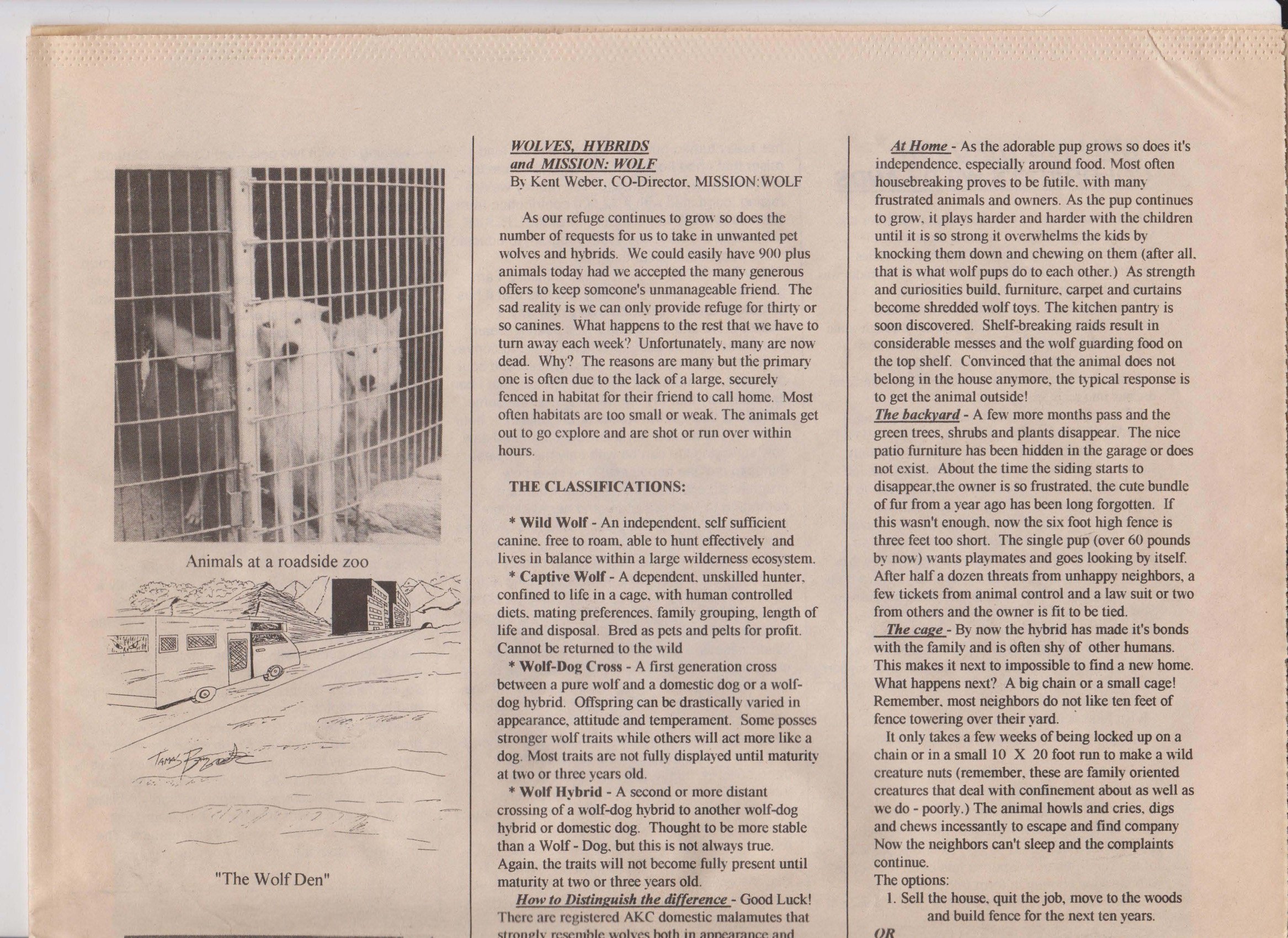 Wolf-Visions-1993 17.jpeg