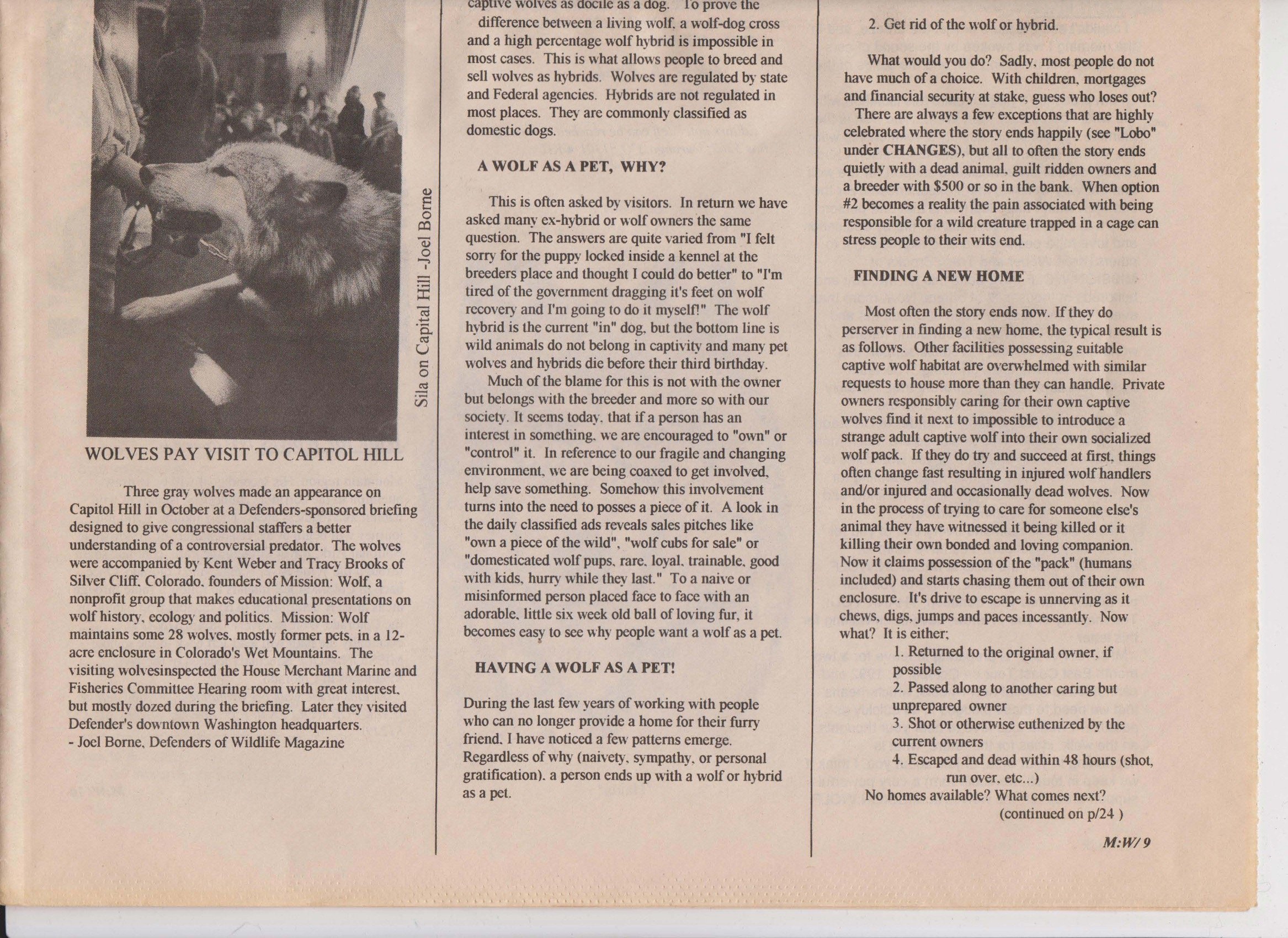 Wolf-Visions-1993 18.jpeg