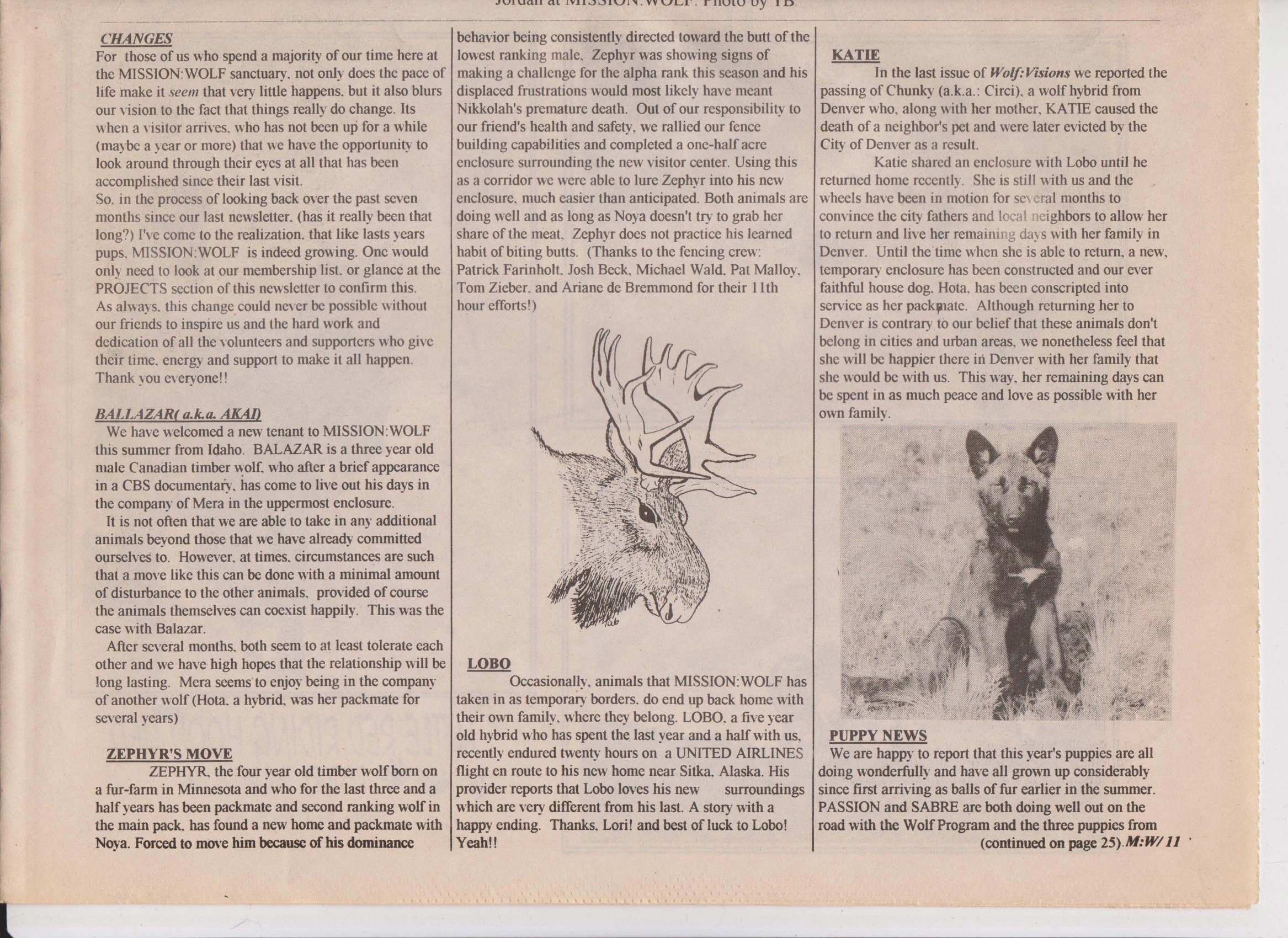 Wolf-Visions-1993 22.jpeg