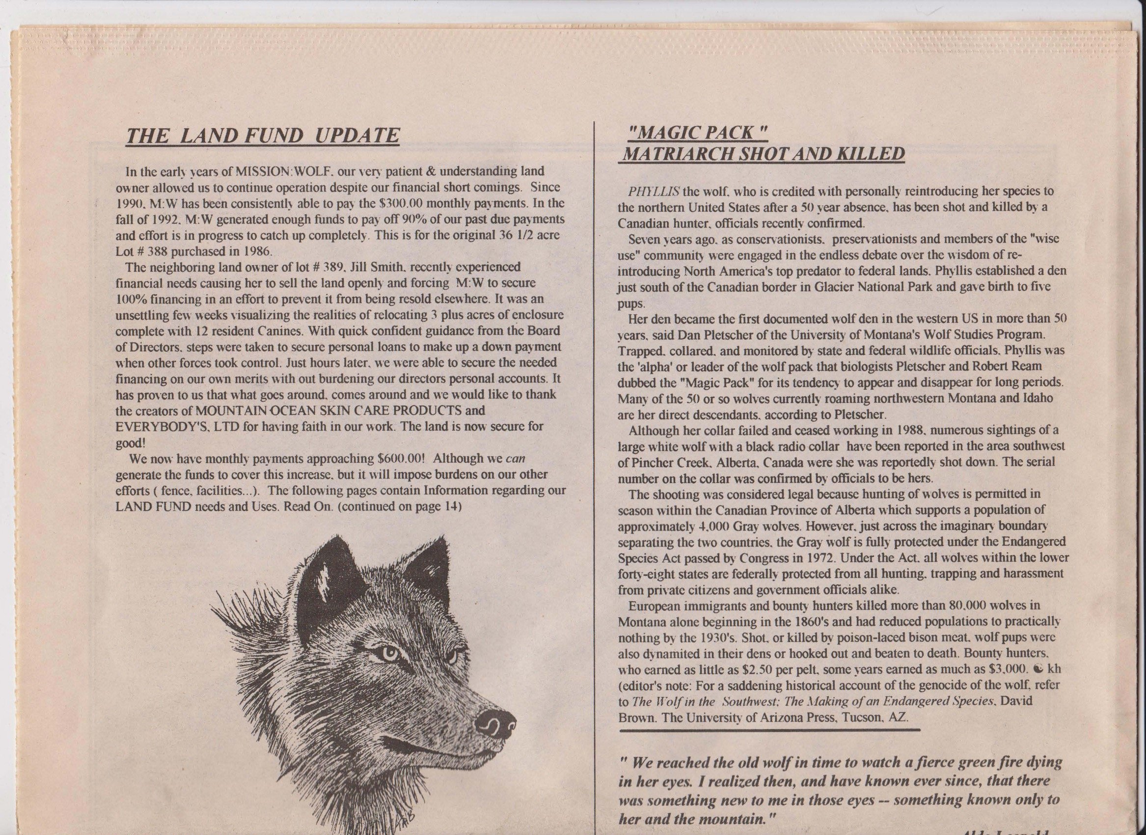 Wolf-Visions-1993 23.jpeg