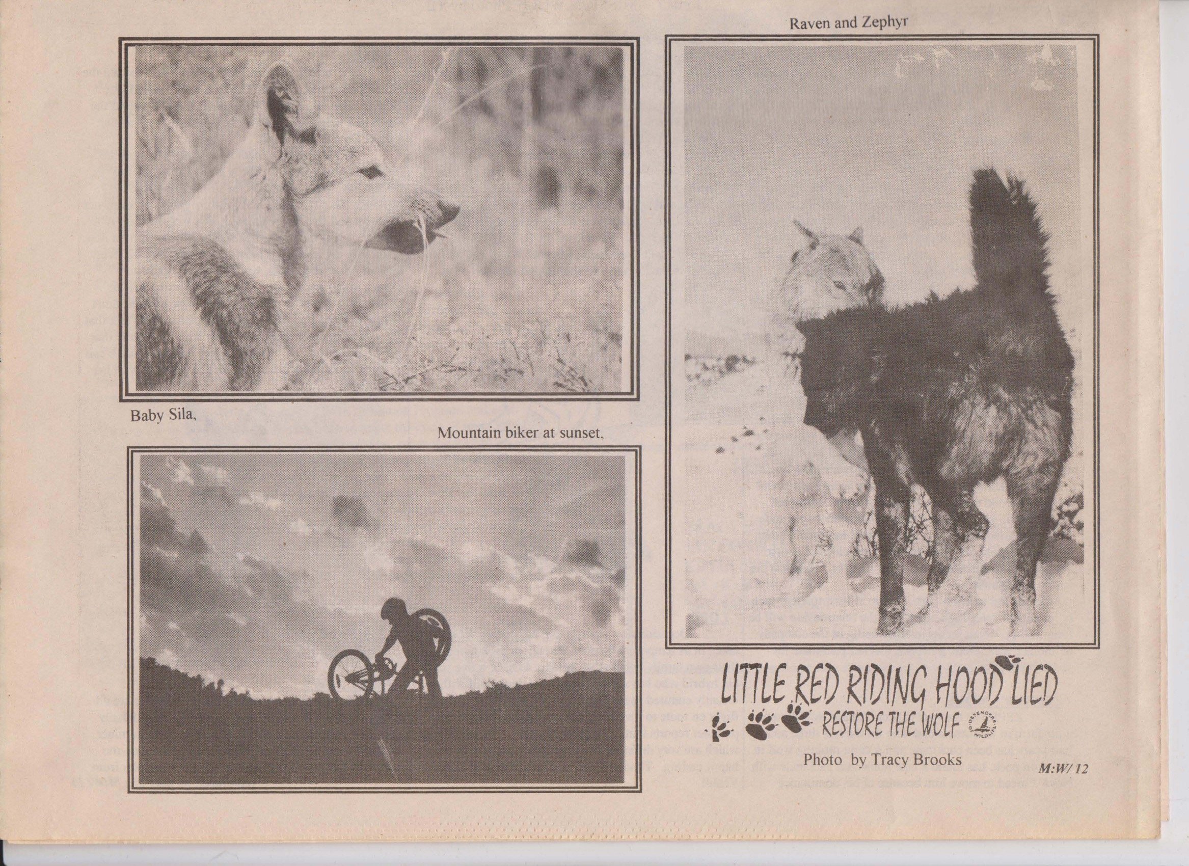 Wolf-Visions-1993 24.jpeg
