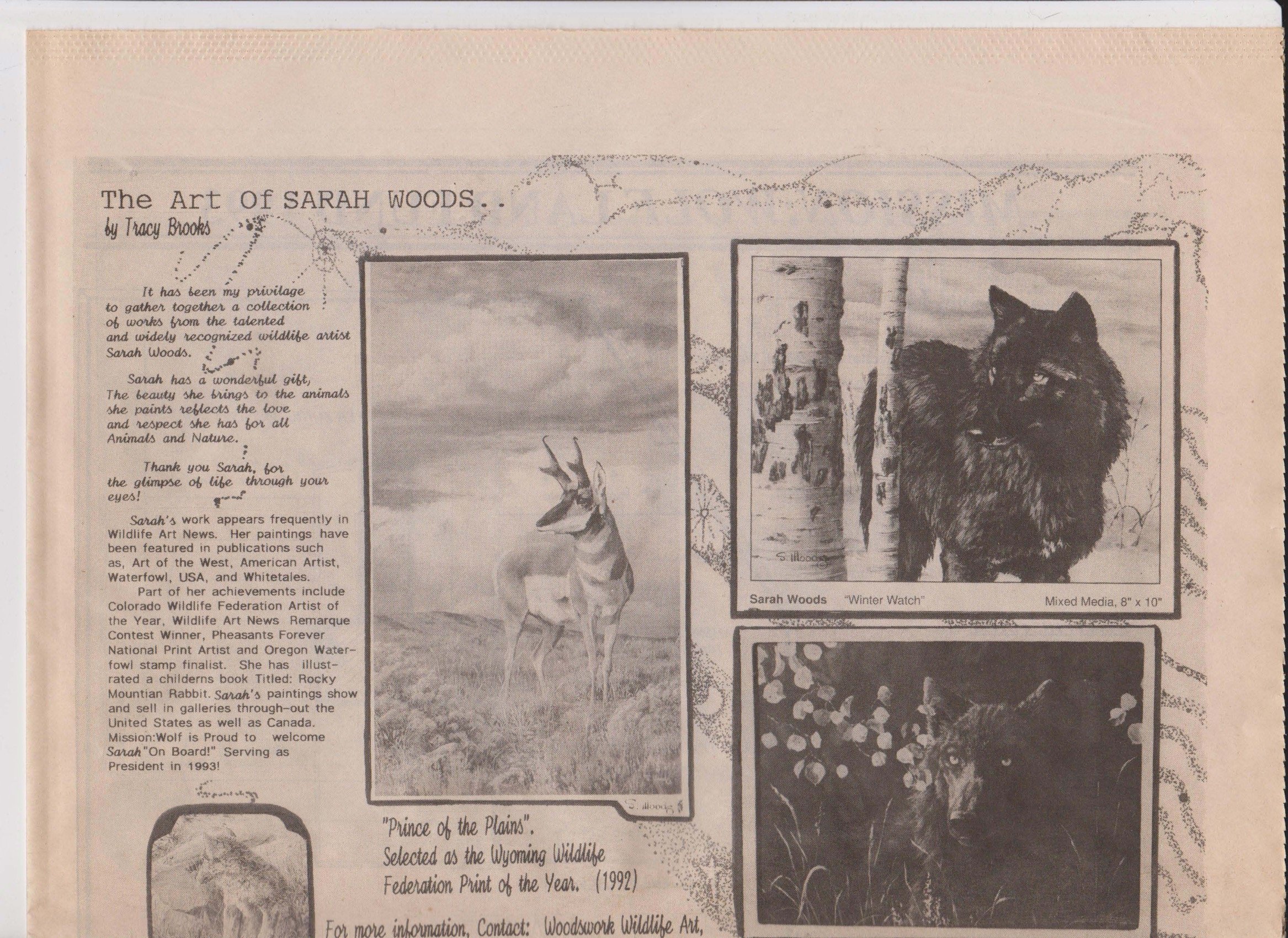 Wolf-Visions-1993 25.jpeg