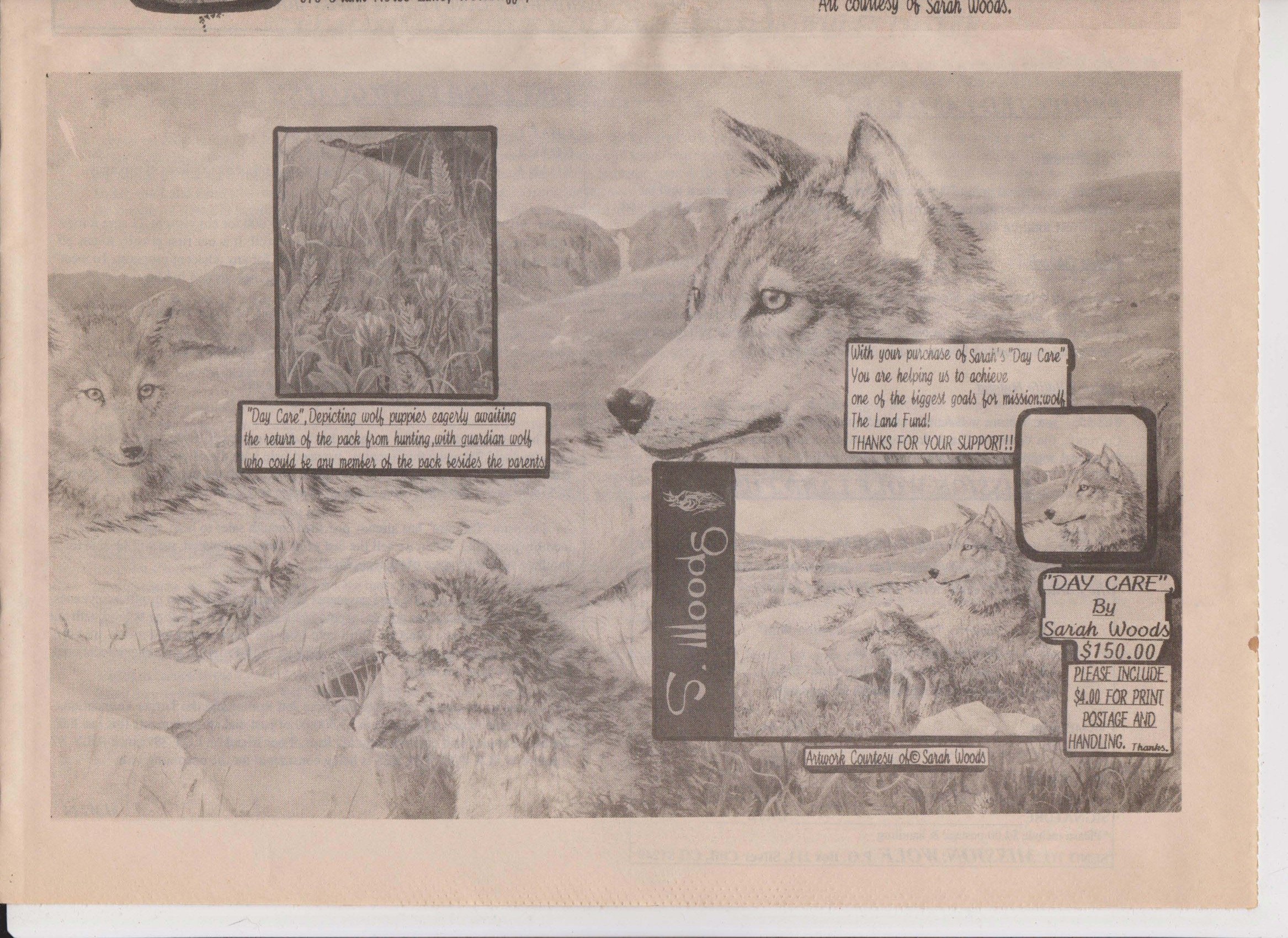 Wolf-Visions-1993 26.jpeg