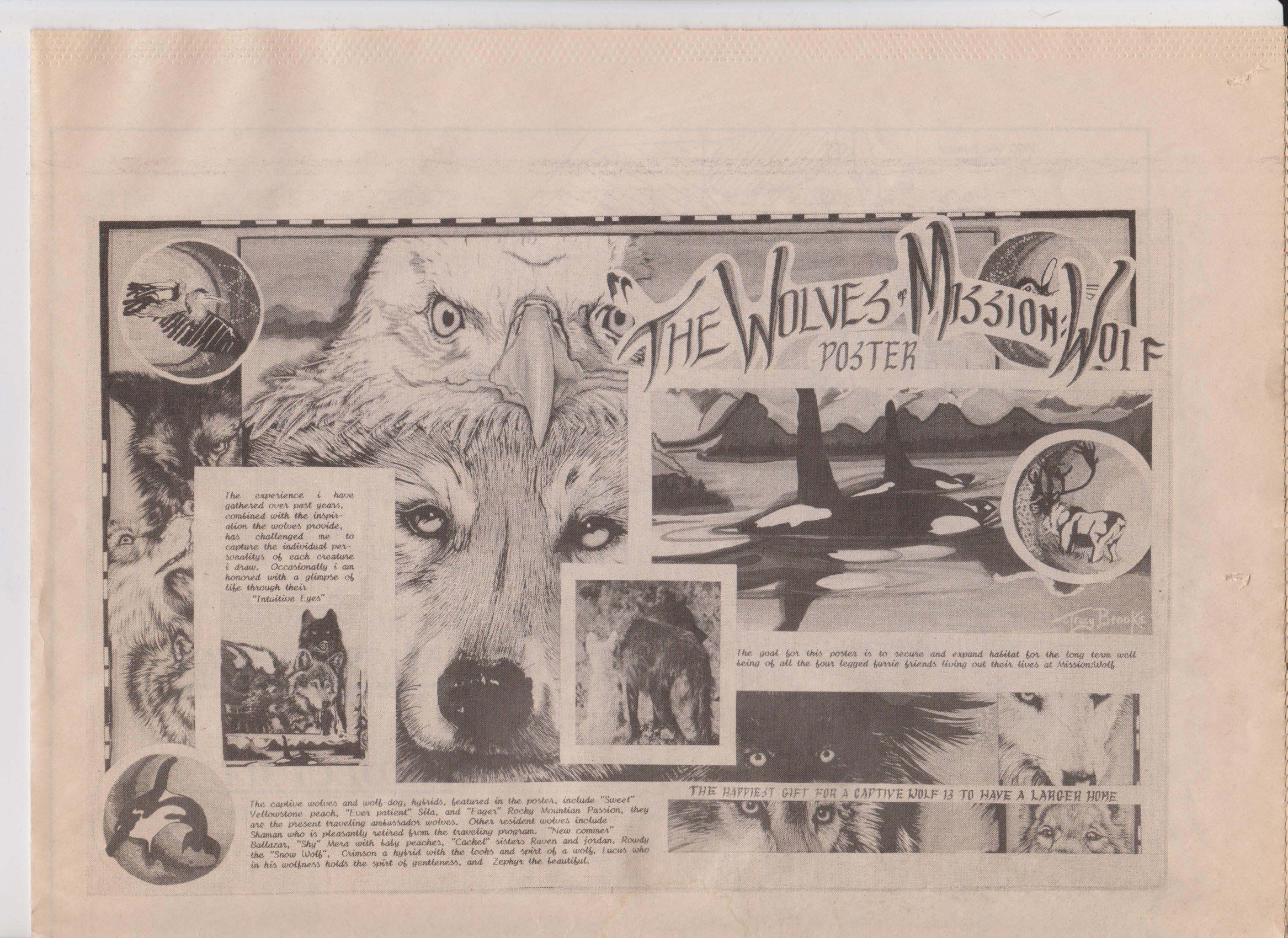 Wolf-Visions-1993 29.jpeg