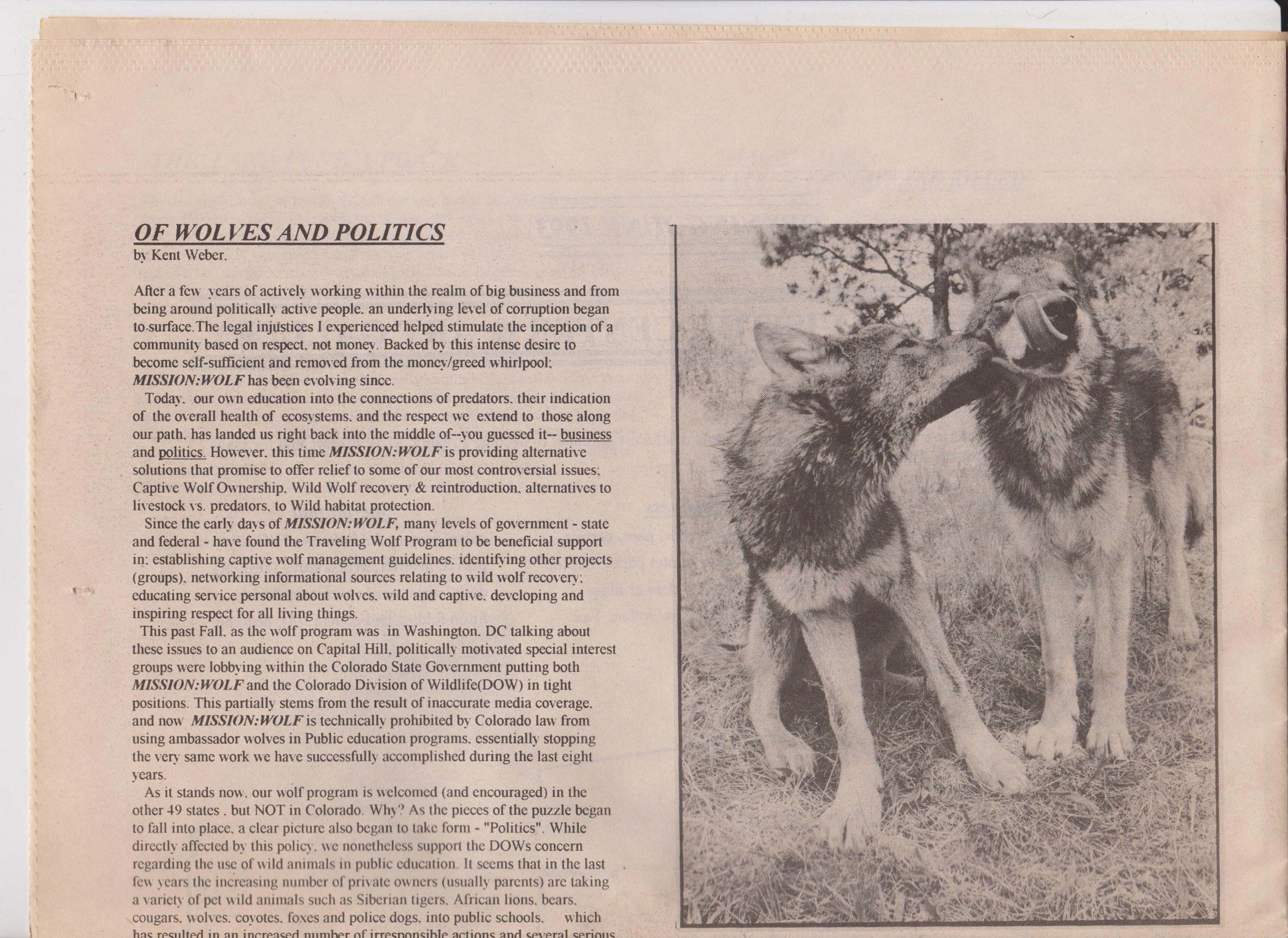 Wolf-Visions-1993 35.jpeg