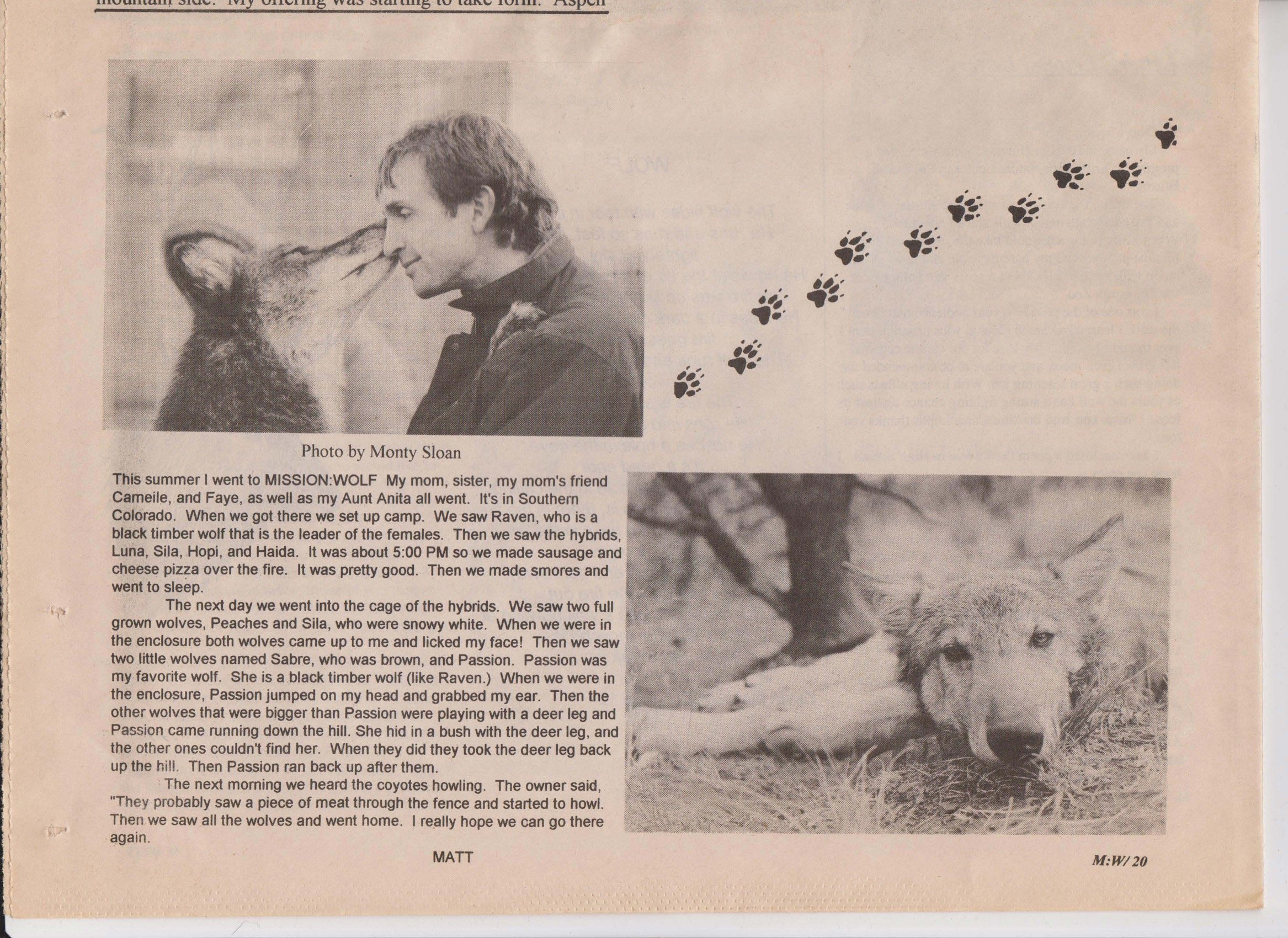 Wolf-Visions-1993 40.jpeg