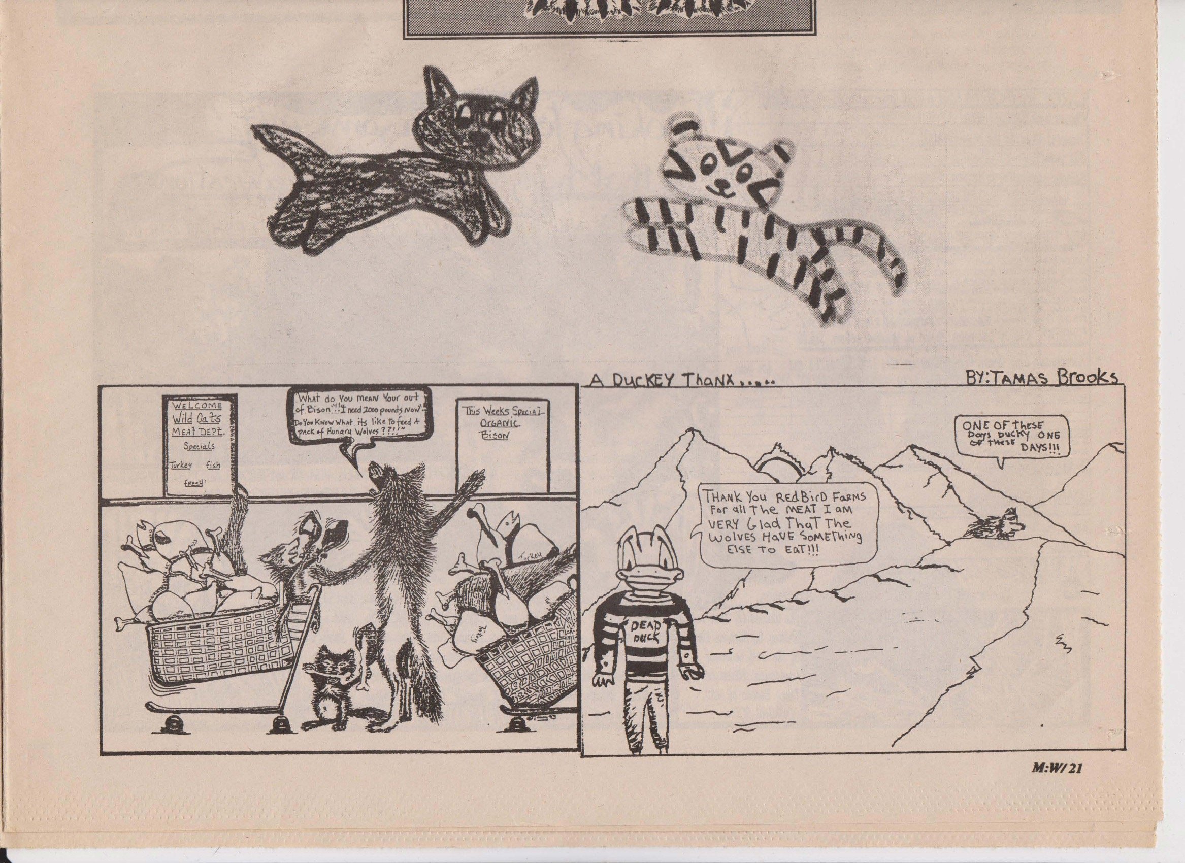 Wolf-Visions-1993 42.jpeg